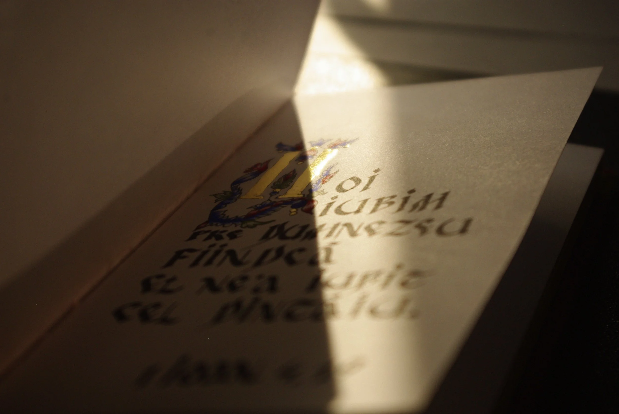 28 Lucru carte pomelnic - text 4.JPG