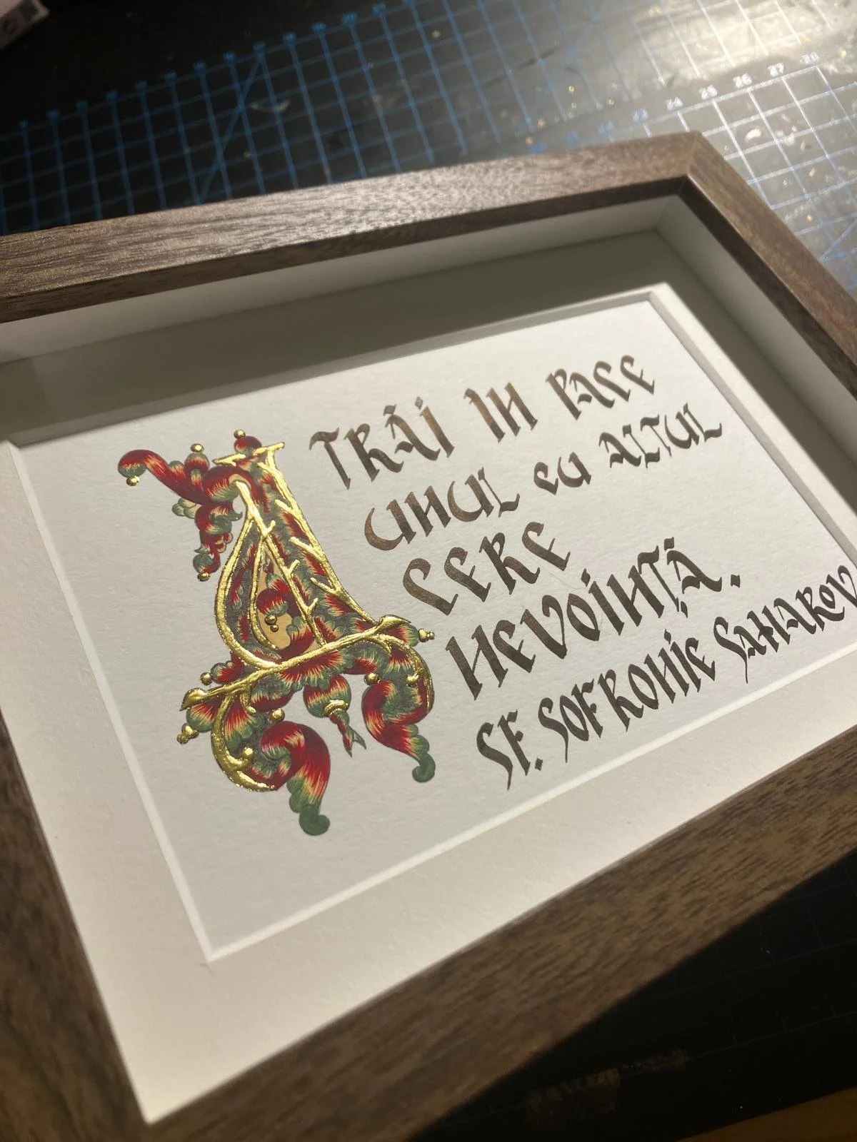 WhatsApp Image 2026-02-16 at 20.01.15.jpeg