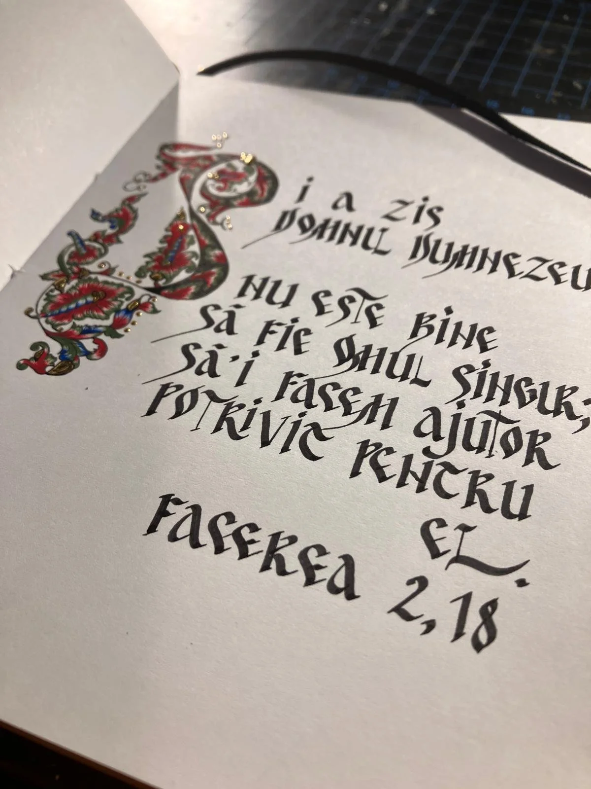 WhatsApp Image 2026-02-16 at 20.12.45 (55).jpeg