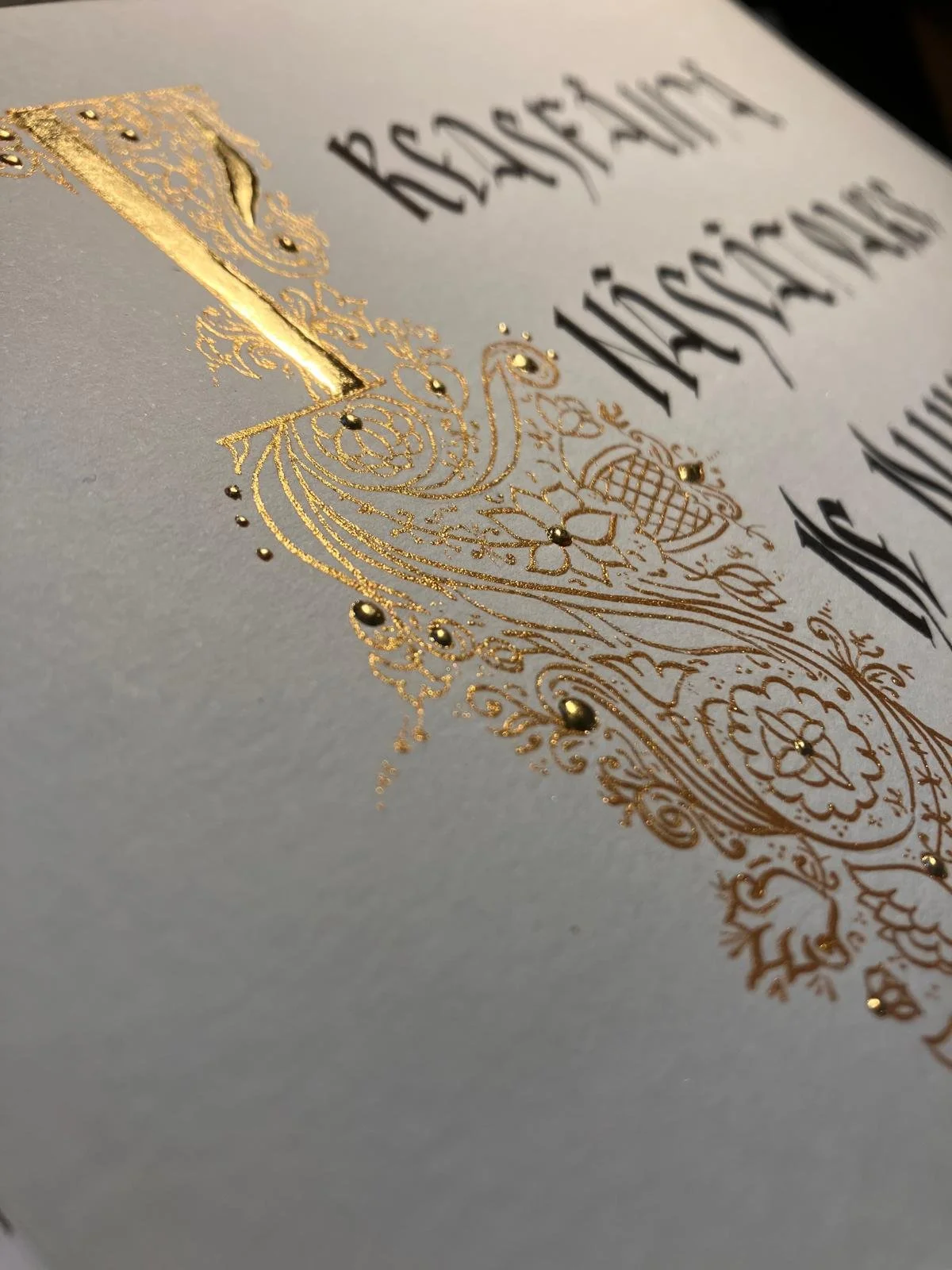 WhatsApp Image 2026-02-16 at 19.19.36 (7).jpeg