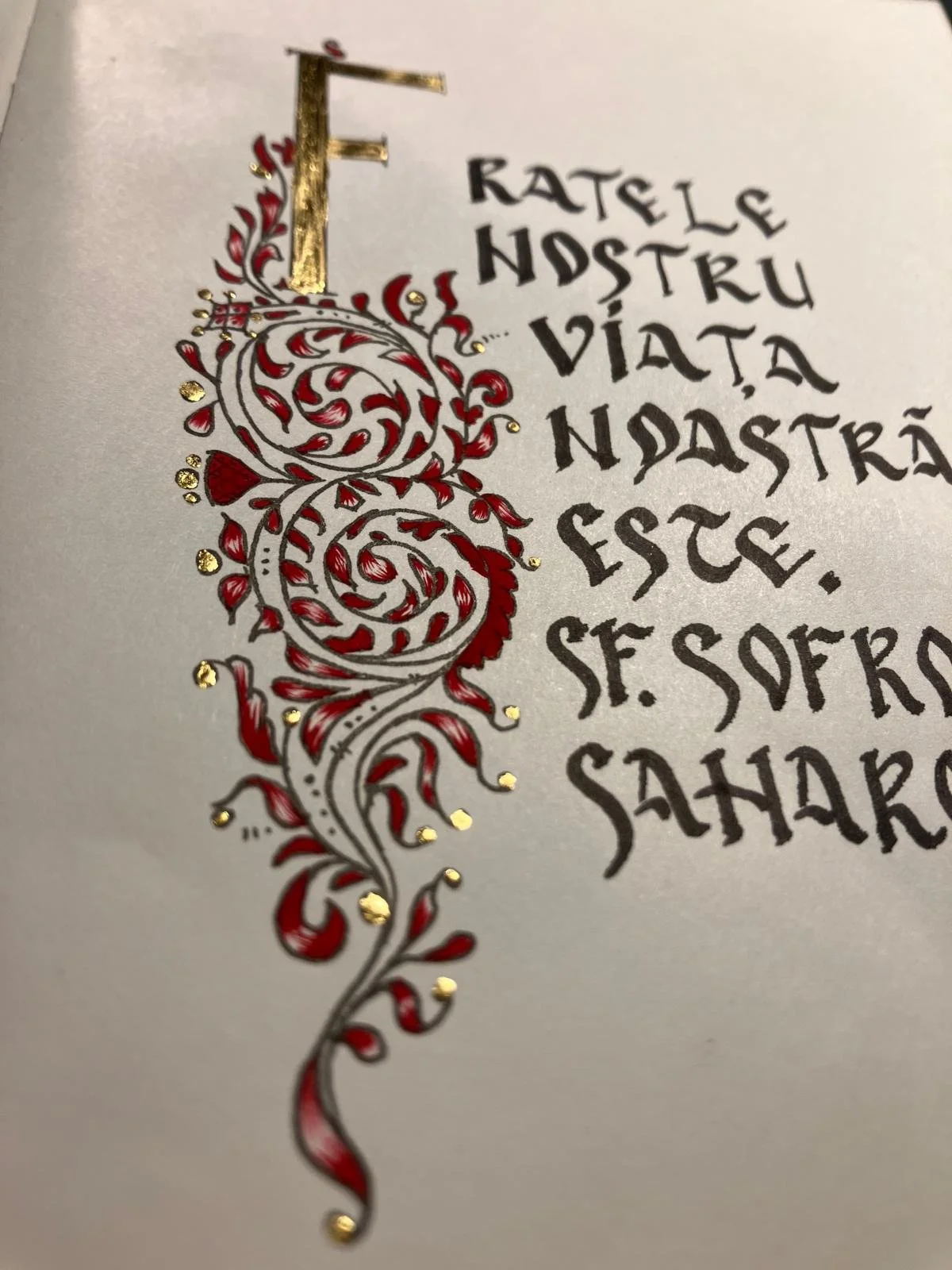 WhatsApp Image 2026-02-16 at 19.27.09 (4).jpeg