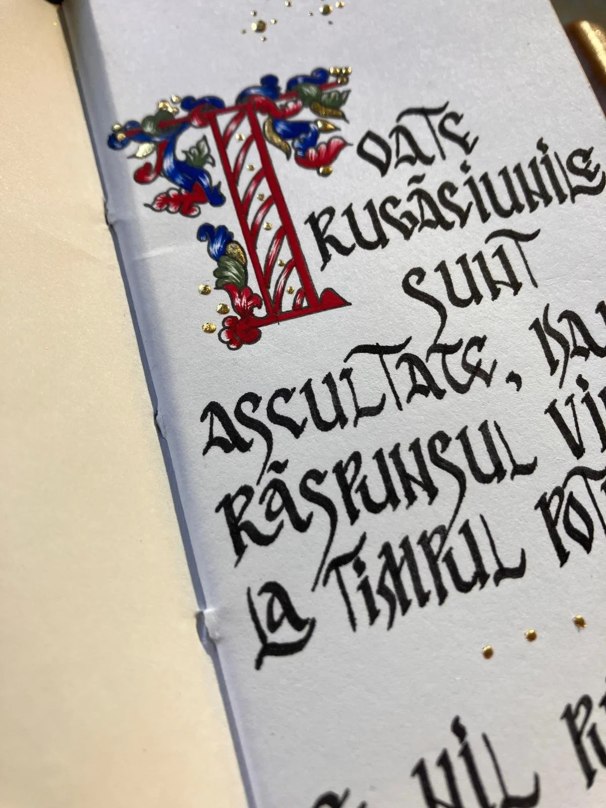 WhatsApp Image 2026-02-16 at 20.12.43 (3).jpeg