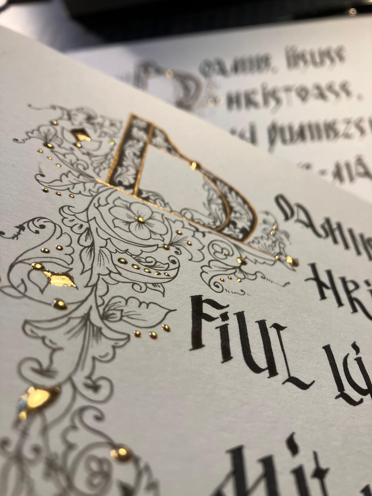 WhatsApp Image 2026-02-16 at 19.19.36 (2).jpeg