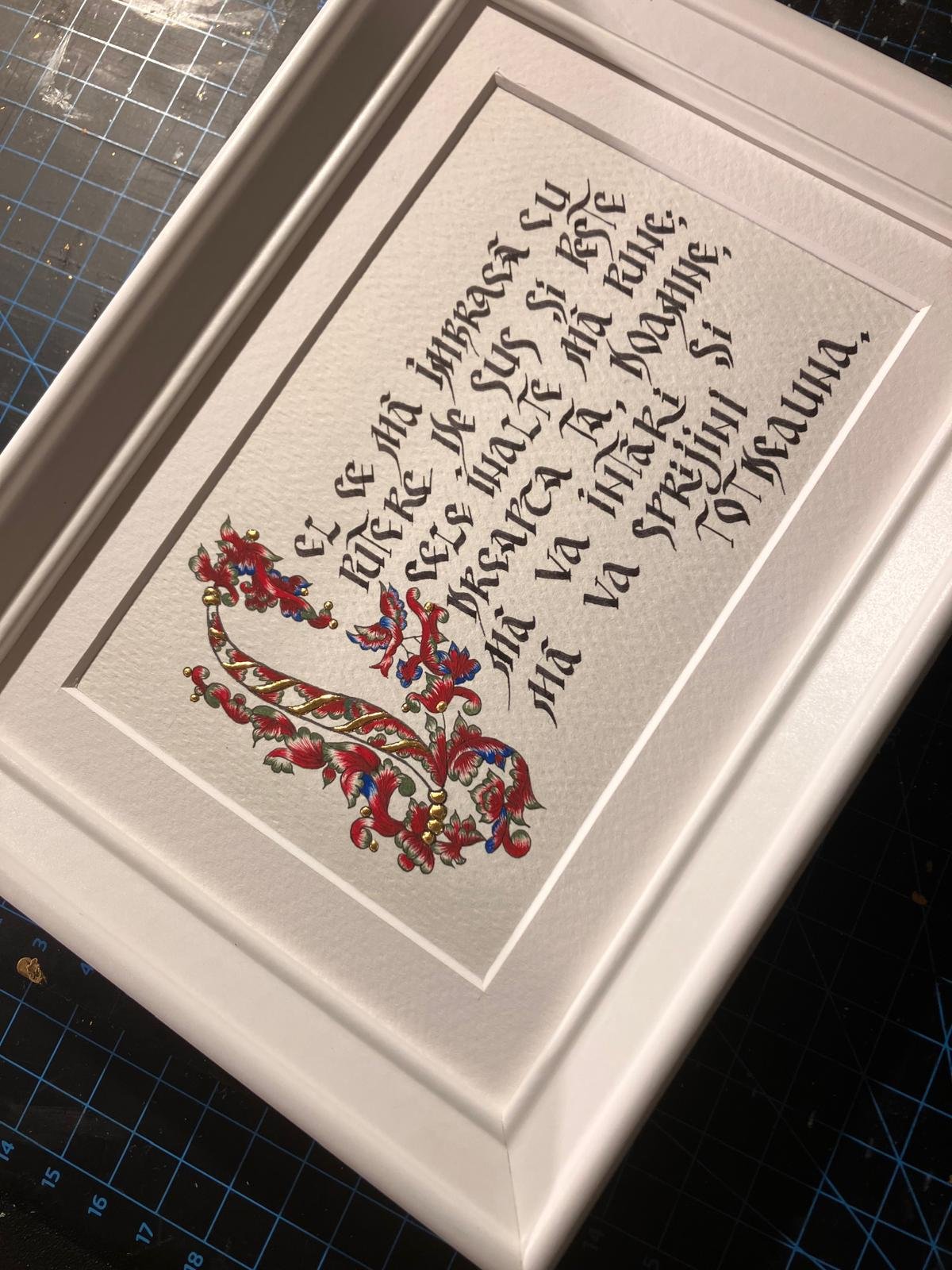 WhatsApp Image 2026-02-16 at 20.12.45 (47).jpeg