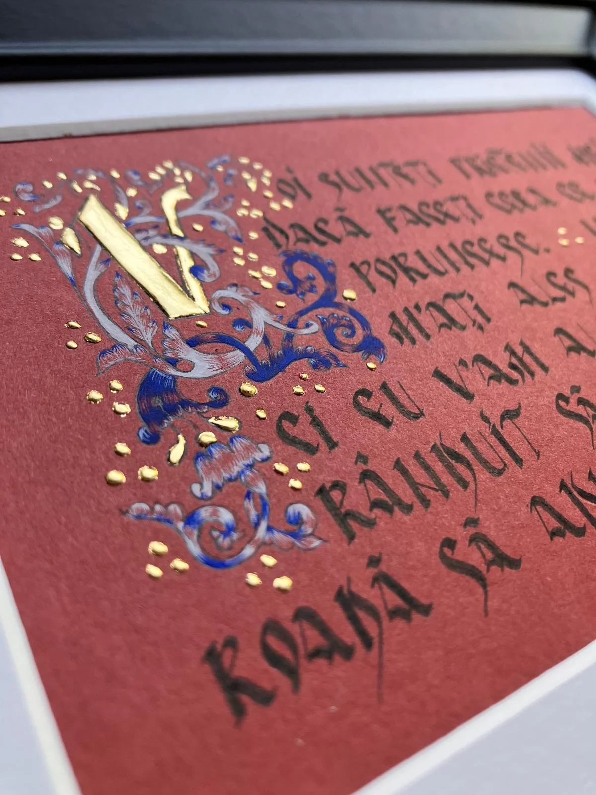 WhatsApp Image 2026-02-16 at 19.35.47 (28).jpeg