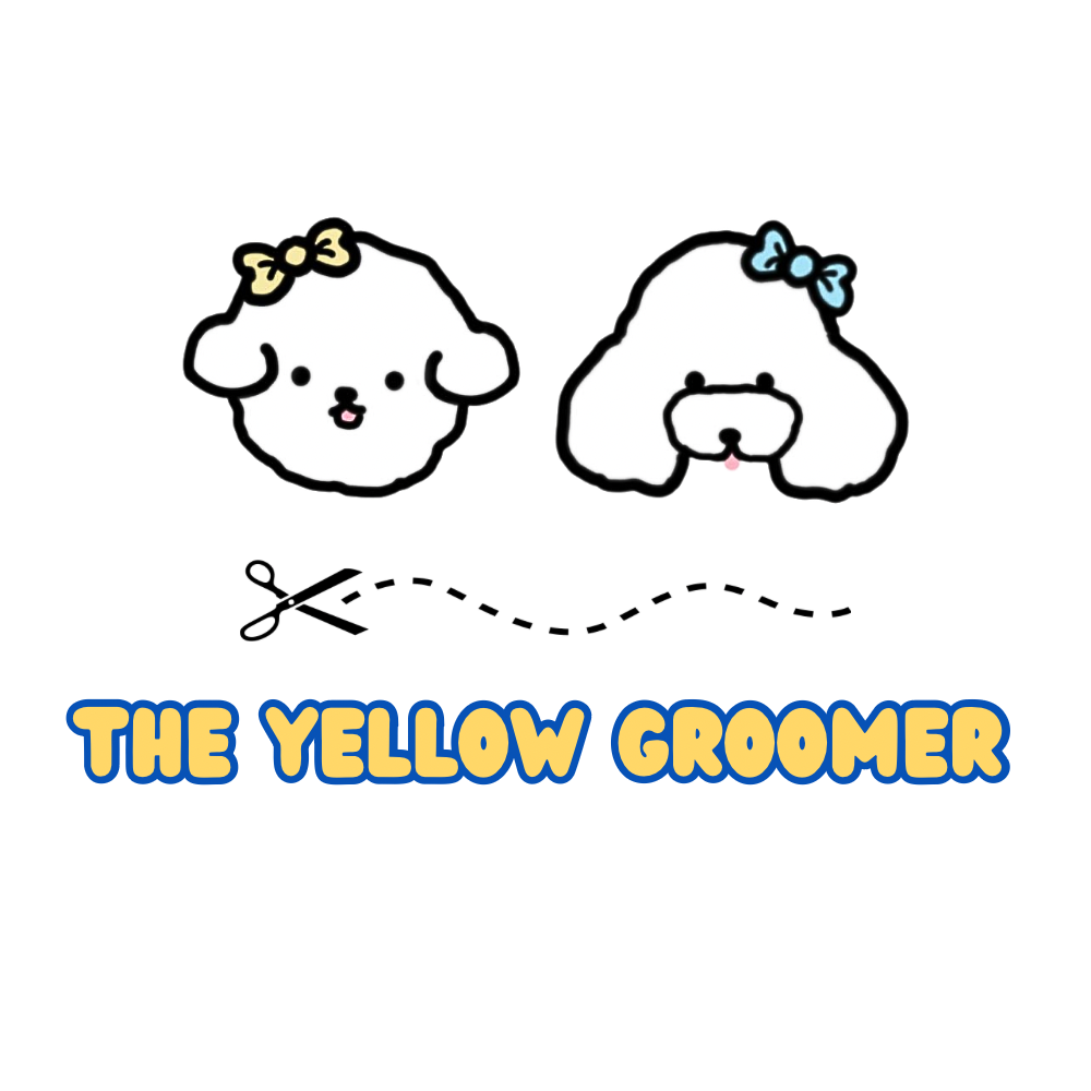 The Yellow Groomer | Home-Based Pet Grooming by Award-Winning Class A Groomer | SG Team 2023 &amp; 2024