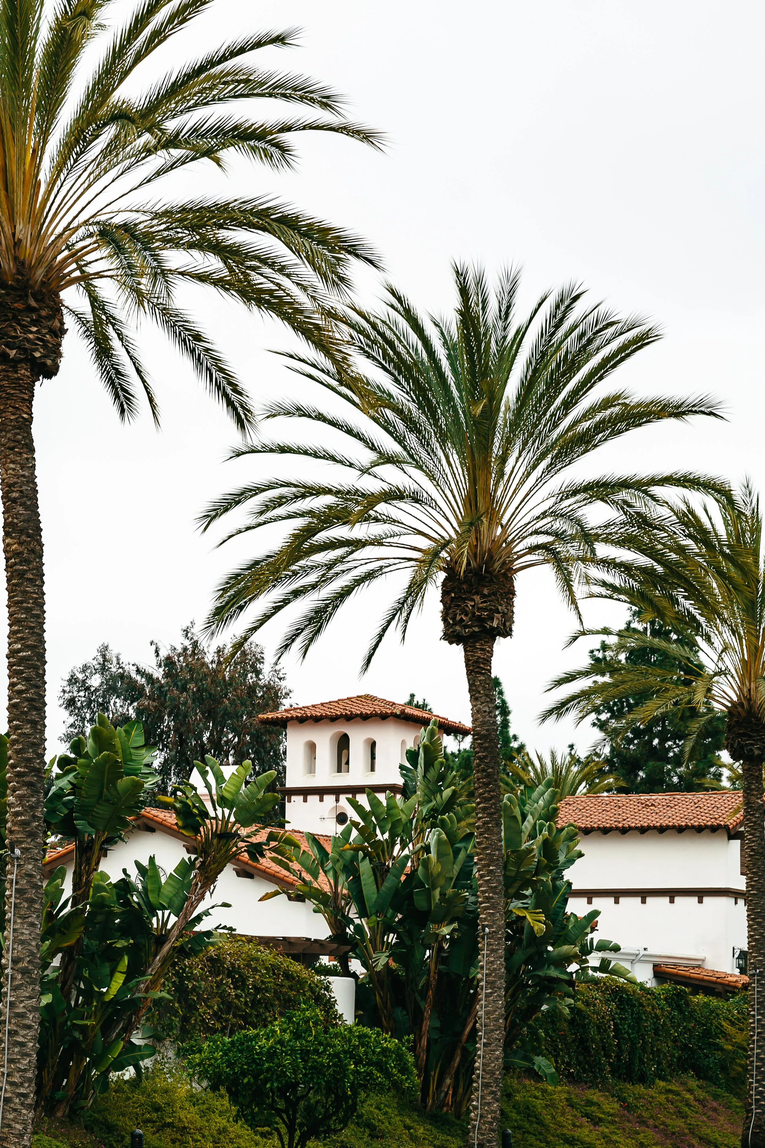 CA - San Diego - La Costa - 17.jpg