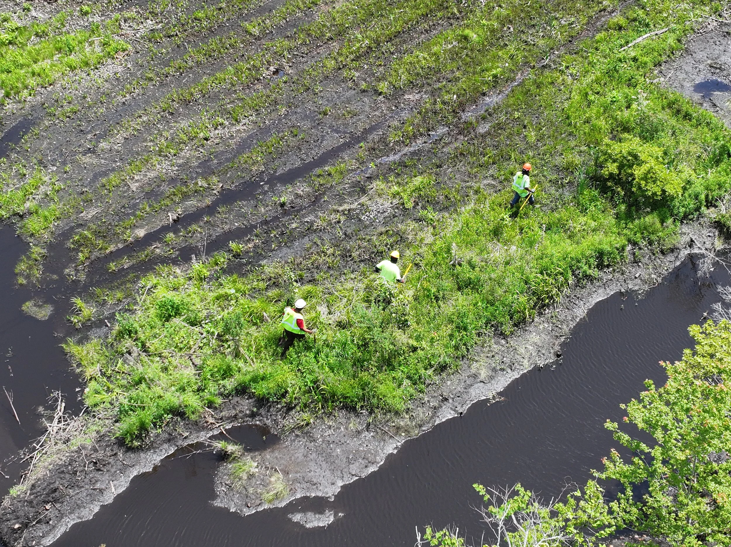dji_fly_20250425_130704_0152_1745698162248_photo.jpg
