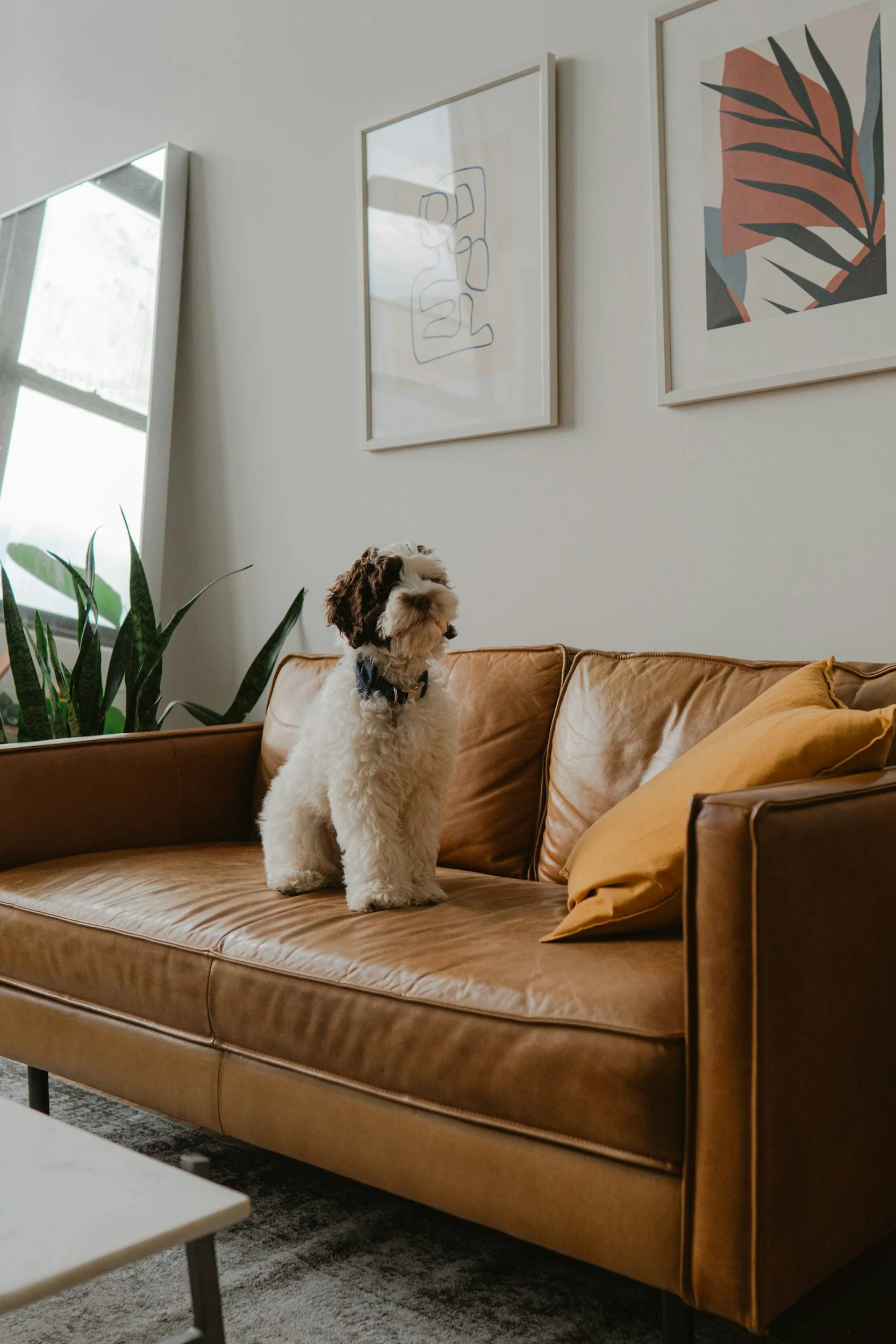 unsplash-image-KWMpdNDoVbs.jpg
