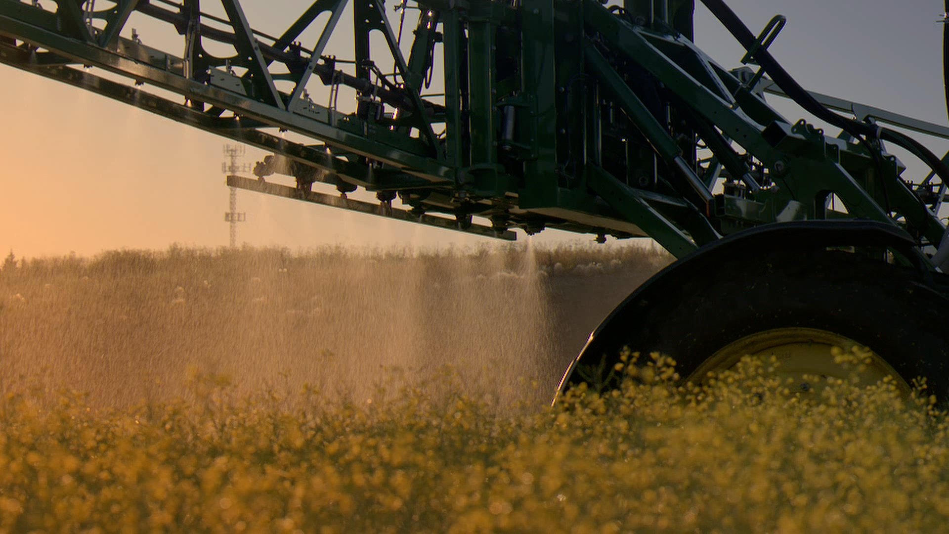 Pattison Ag0.jpg