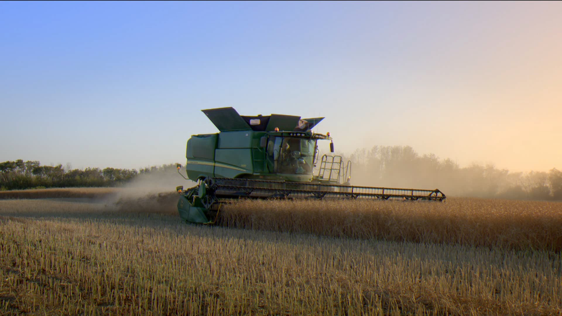 Pattison Ag10.jpg