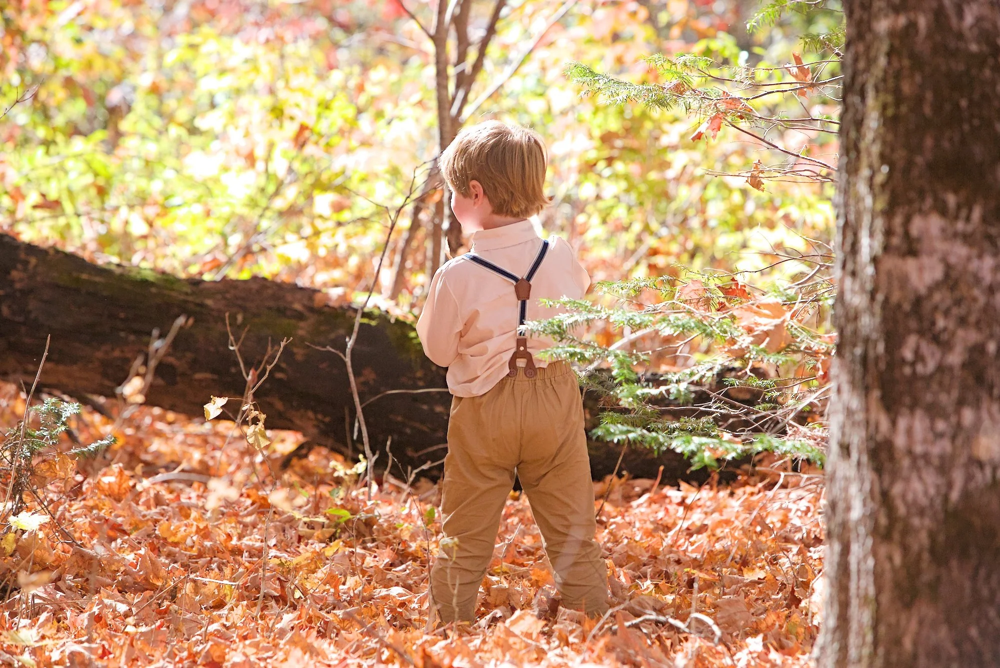 2025-10-18_Preston-Finley Wedding-595.jpg