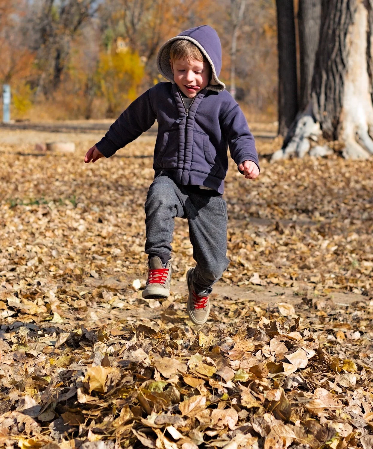 2021-11-09 Anderson Leaves 6455.jpg