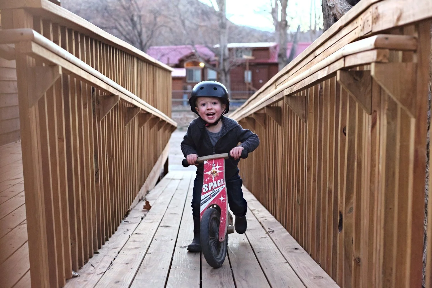 2020-11-15 Anderson 3642_01.jpg