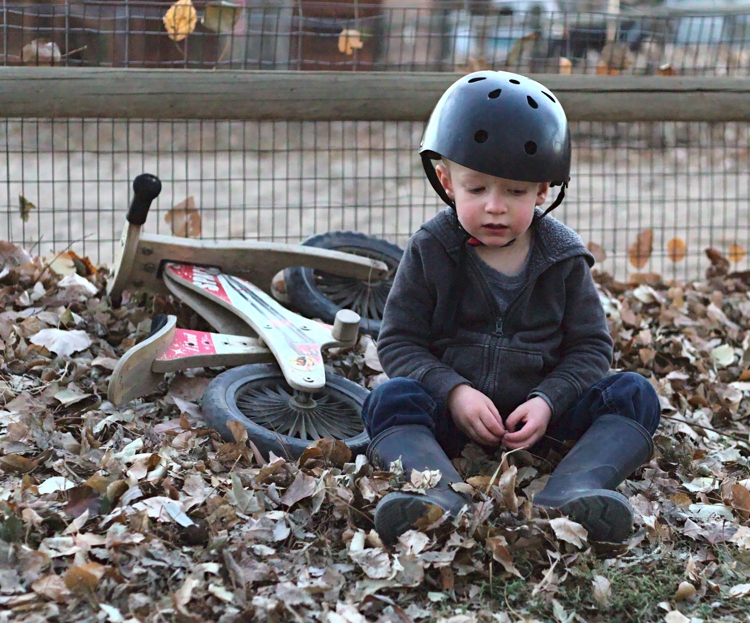 2020-11-15 Anderson 3748_01.jpg