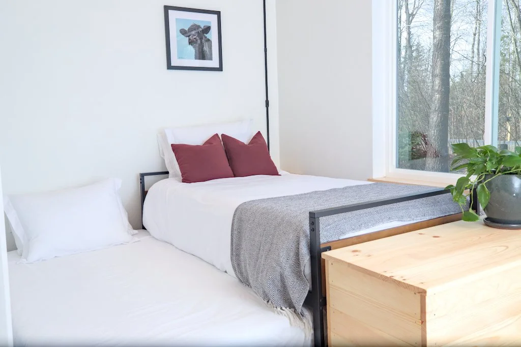 Minimalist bedroom with a double bed, white bedding, red pillows, gray throw blanket, wooden chest, green plant, large window, and framed cow picture on the wall.