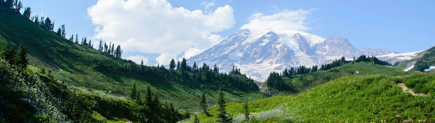 A snow-covered mountain above green alpine meadows and evergreen forest.