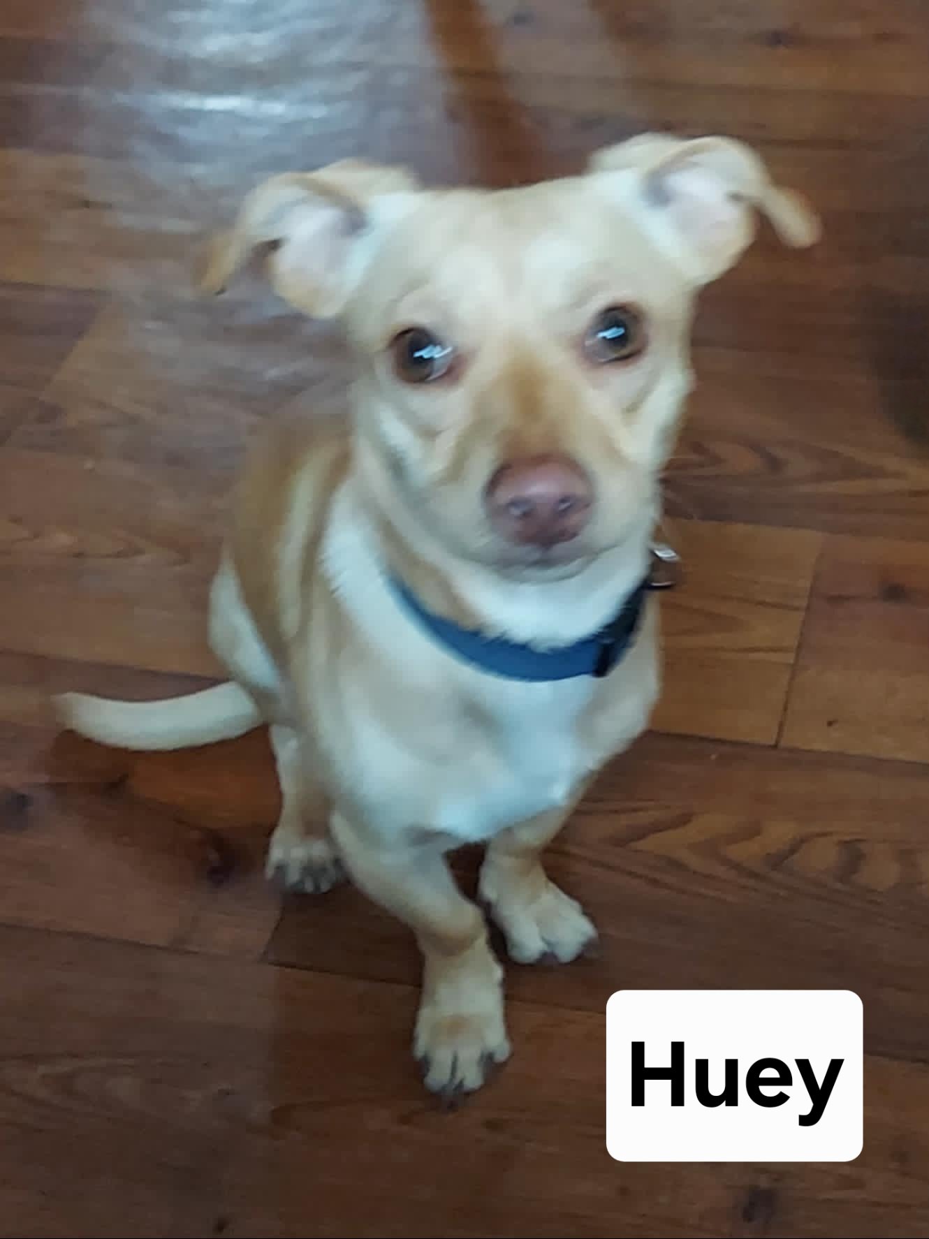 HUEY.jpg