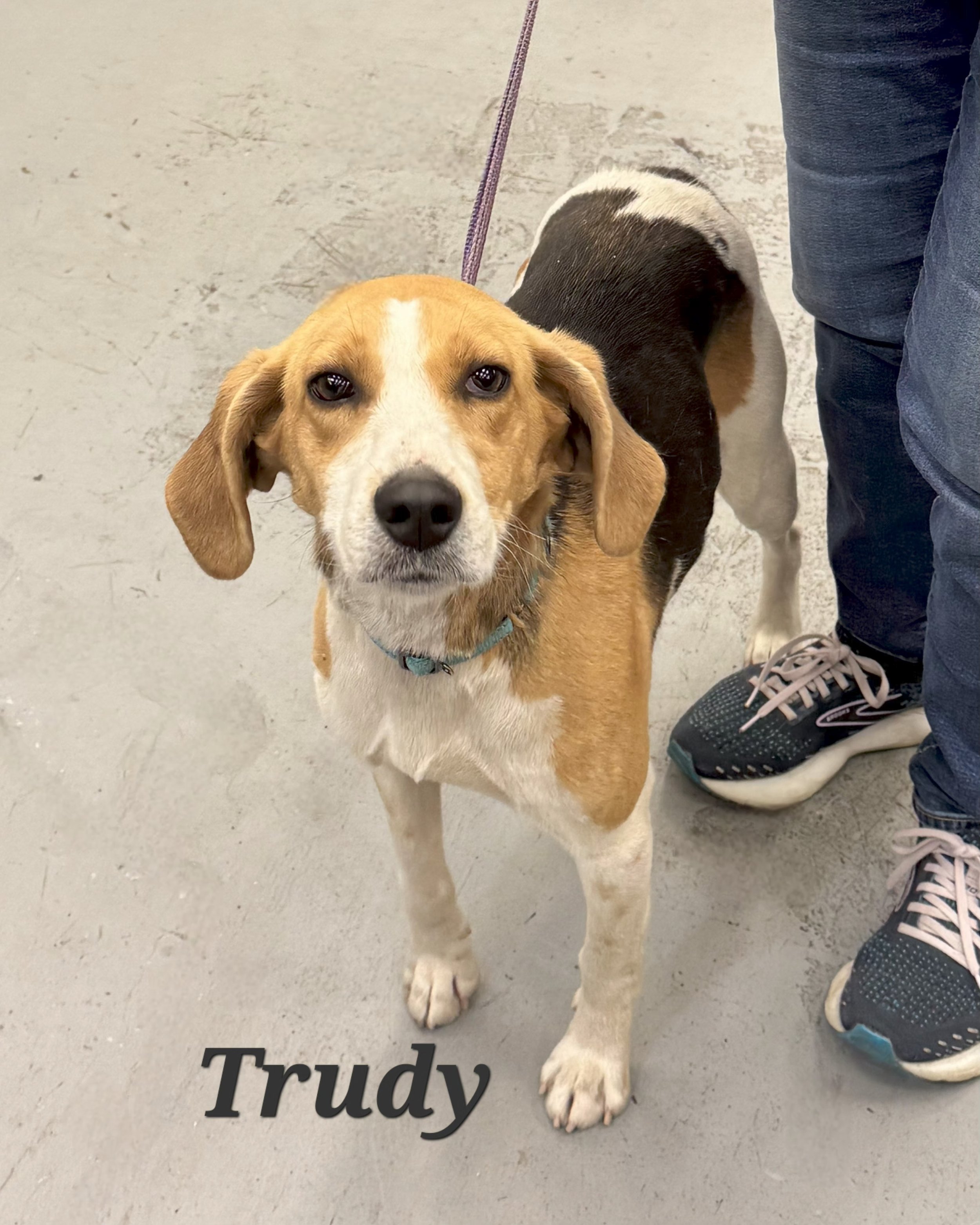 Trudy-2.jpg