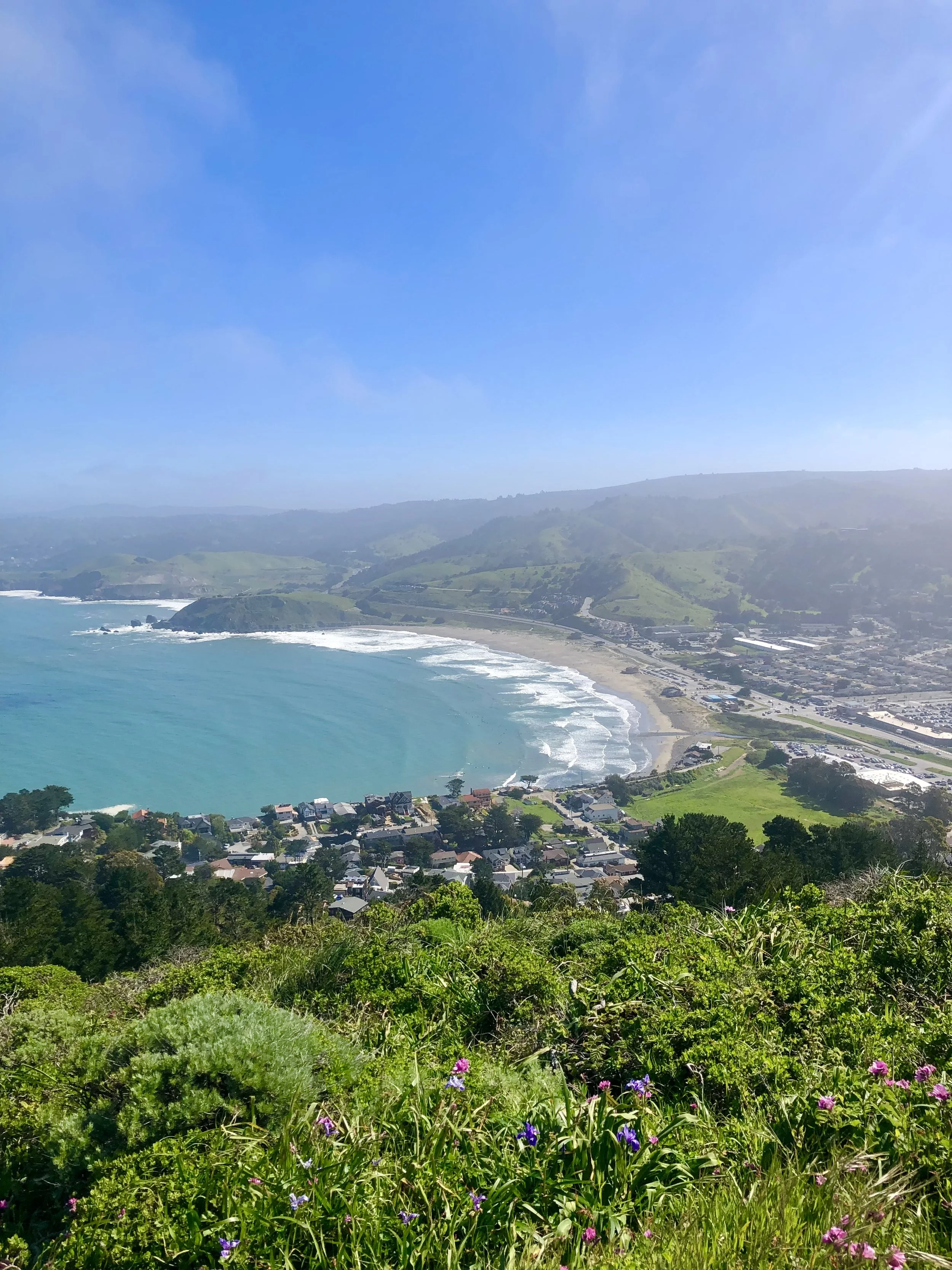 Aerial view of Pacifica's coastal landscape with a beach, waves, residential area, green hills, wildflowers, and blue sky.