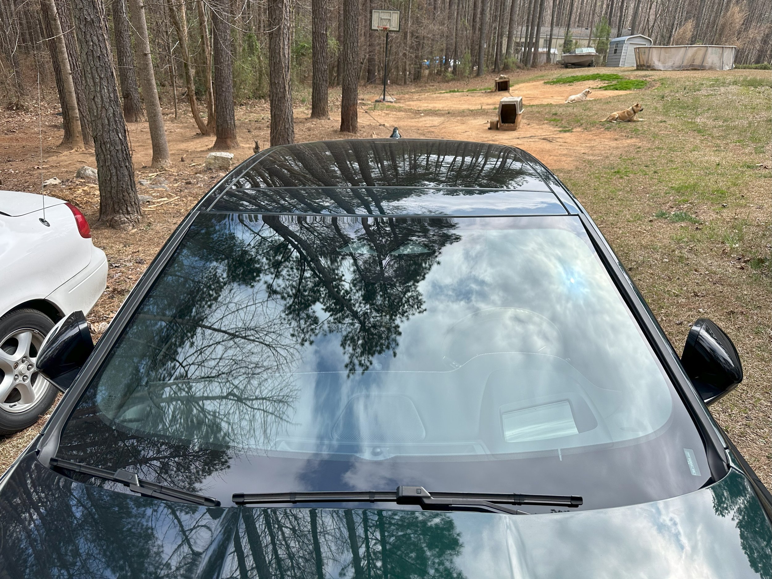 Jaguar Windshield2.jpg