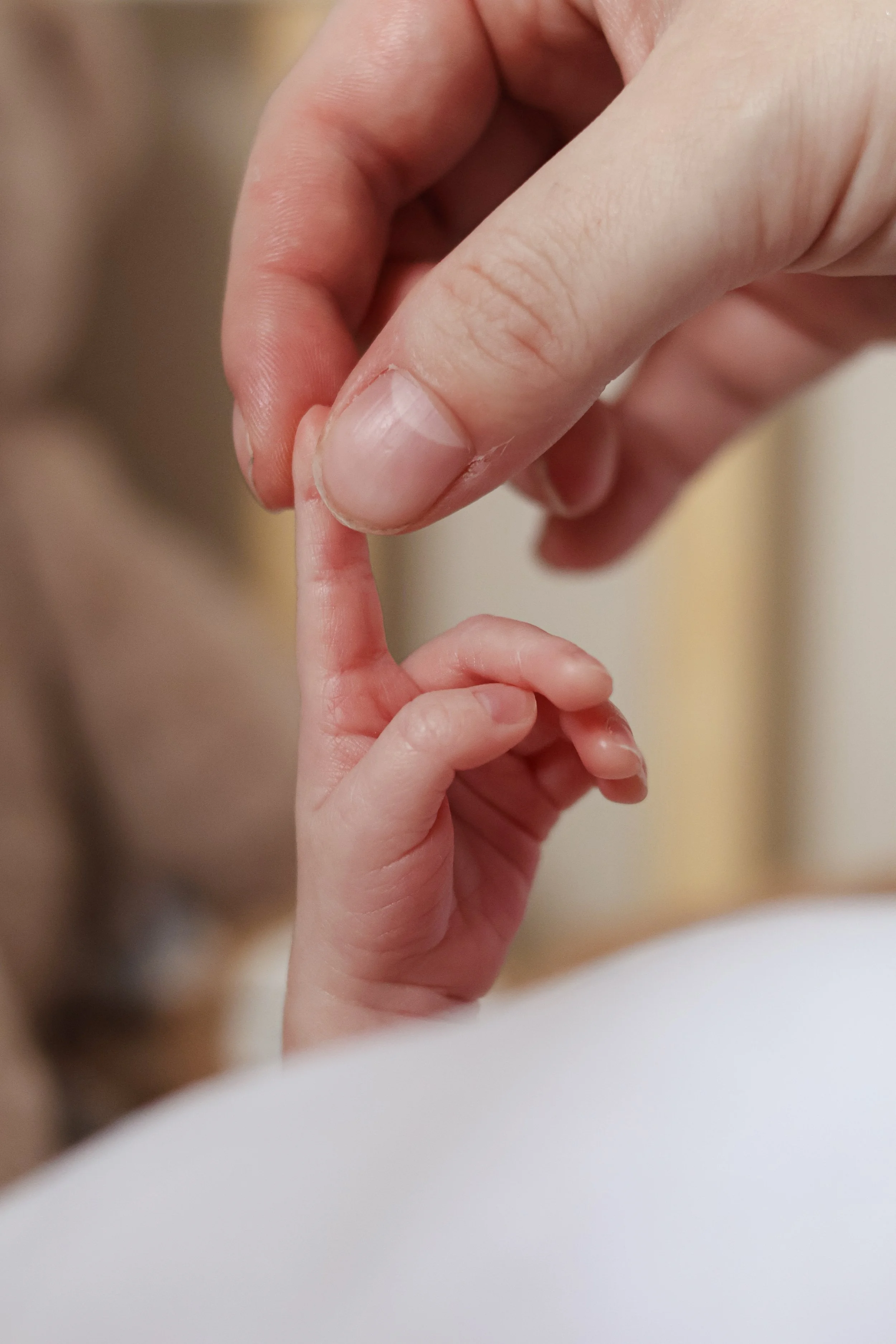 An adult hand gently holding a tiny baby's finger.