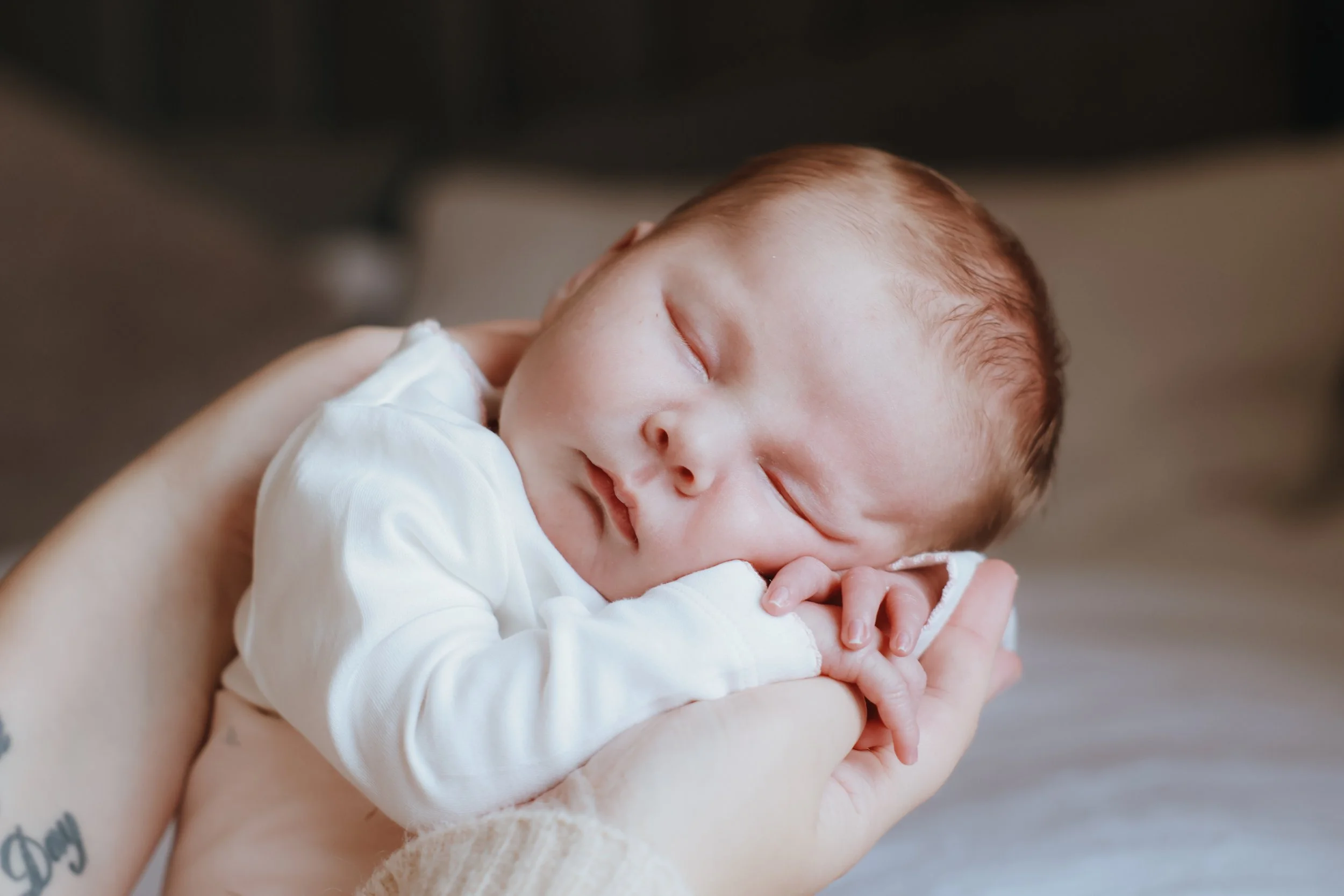 Close-up of a sleeping newborn baby with brown hair, resting peacefully in an adult's hand. Newborn photography, Portsmouth
