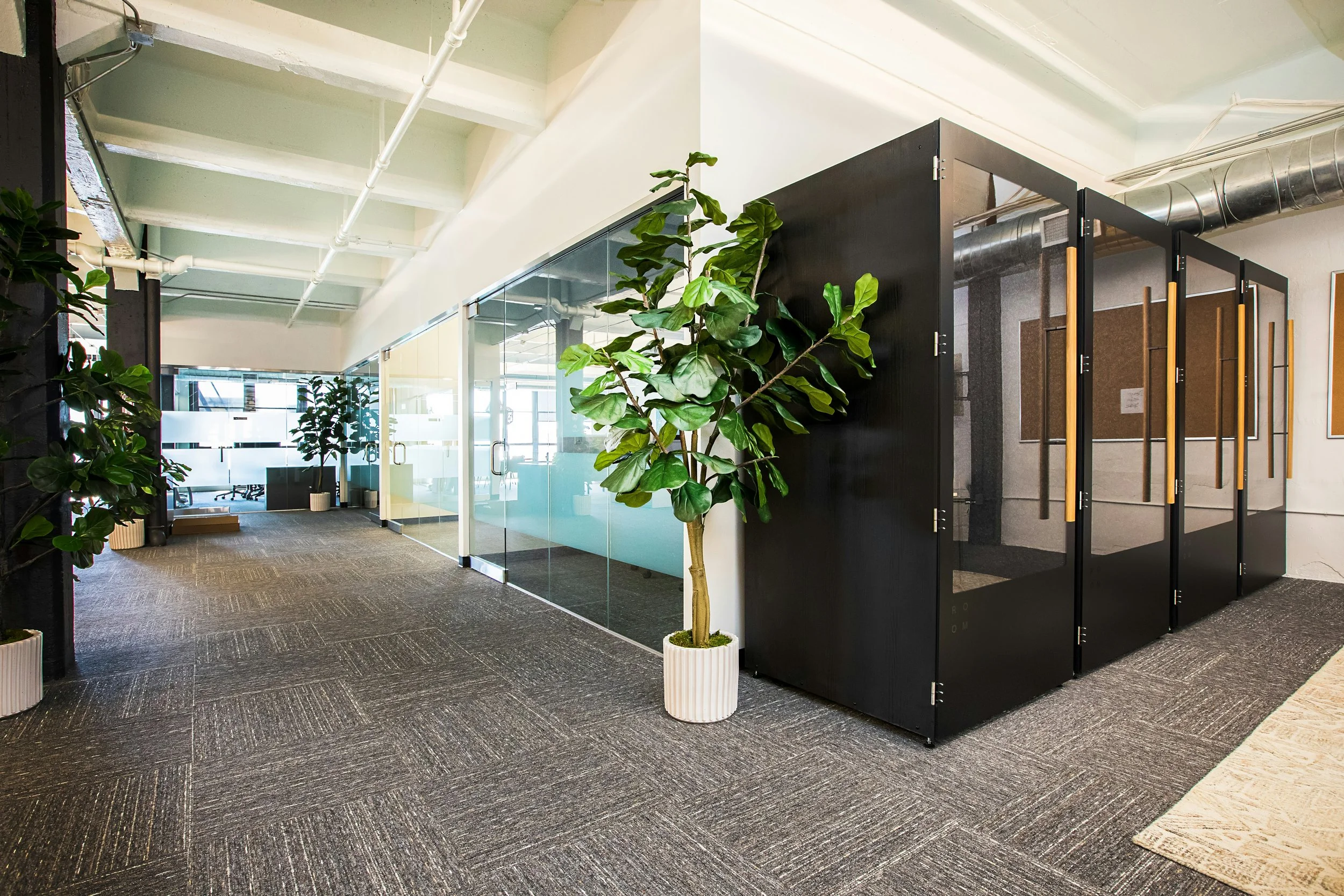 Modern office hallway with glass walls and potted plants