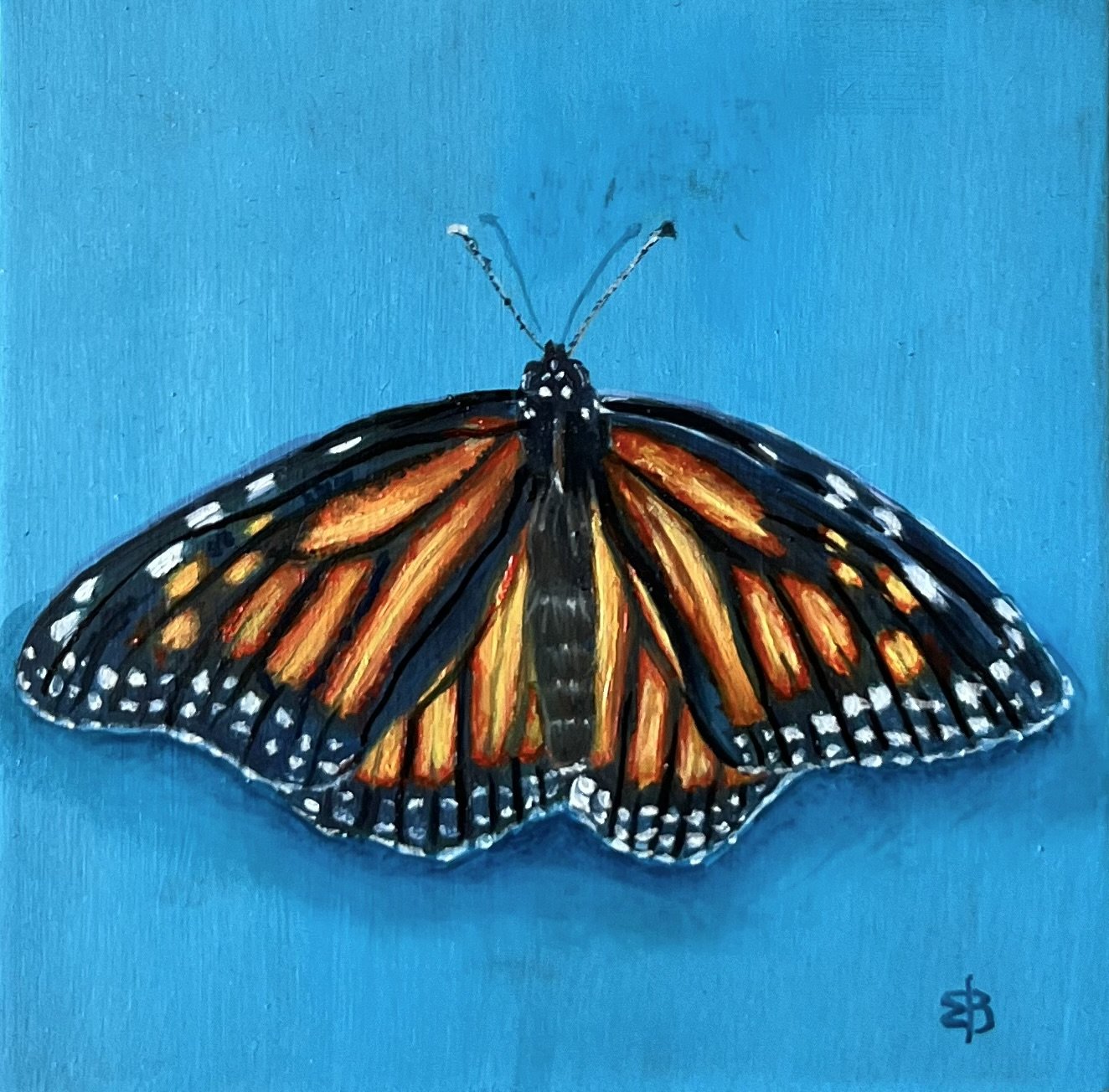 Monarch