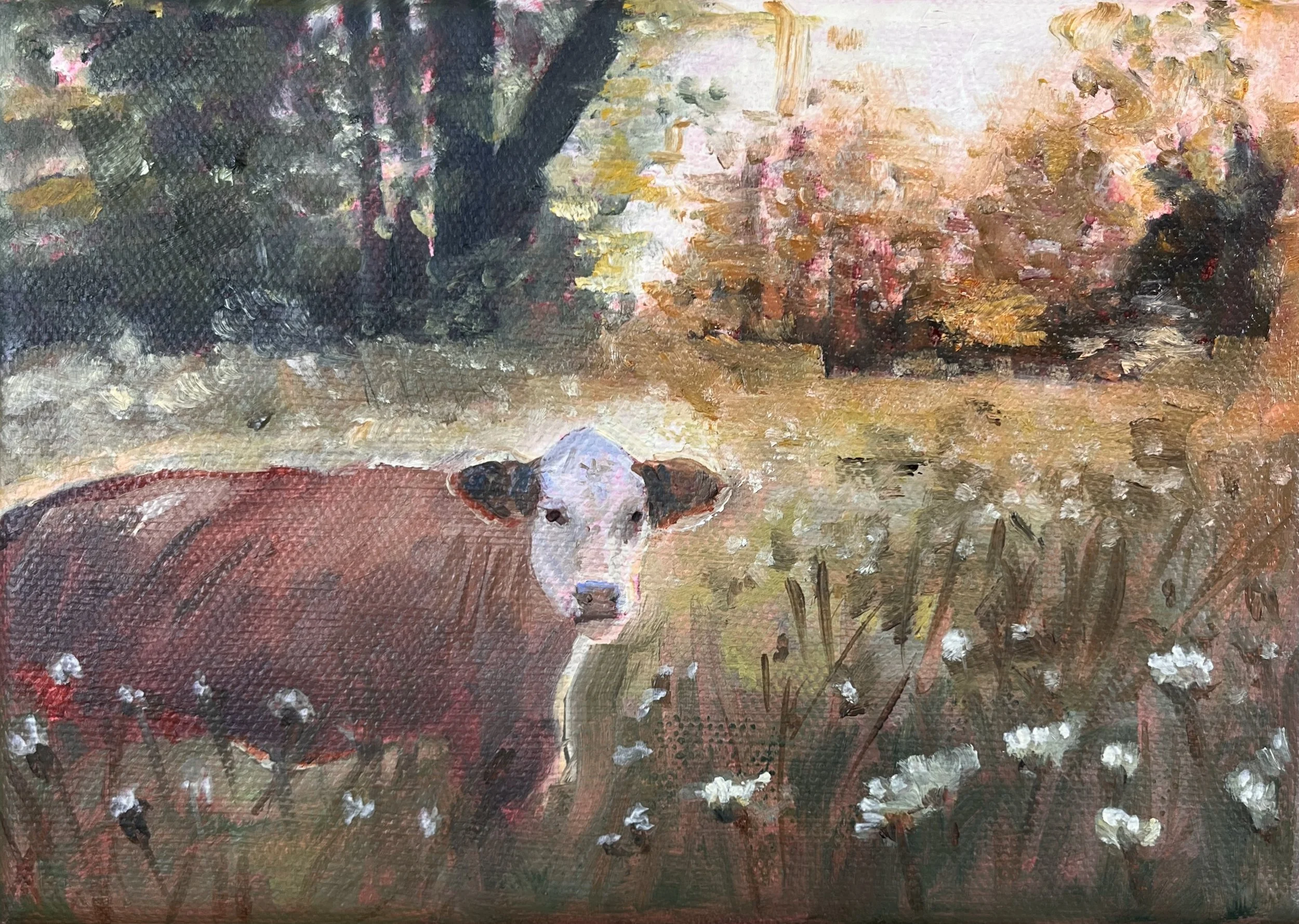 "Country Dreaming" 5"x7" Available-$175