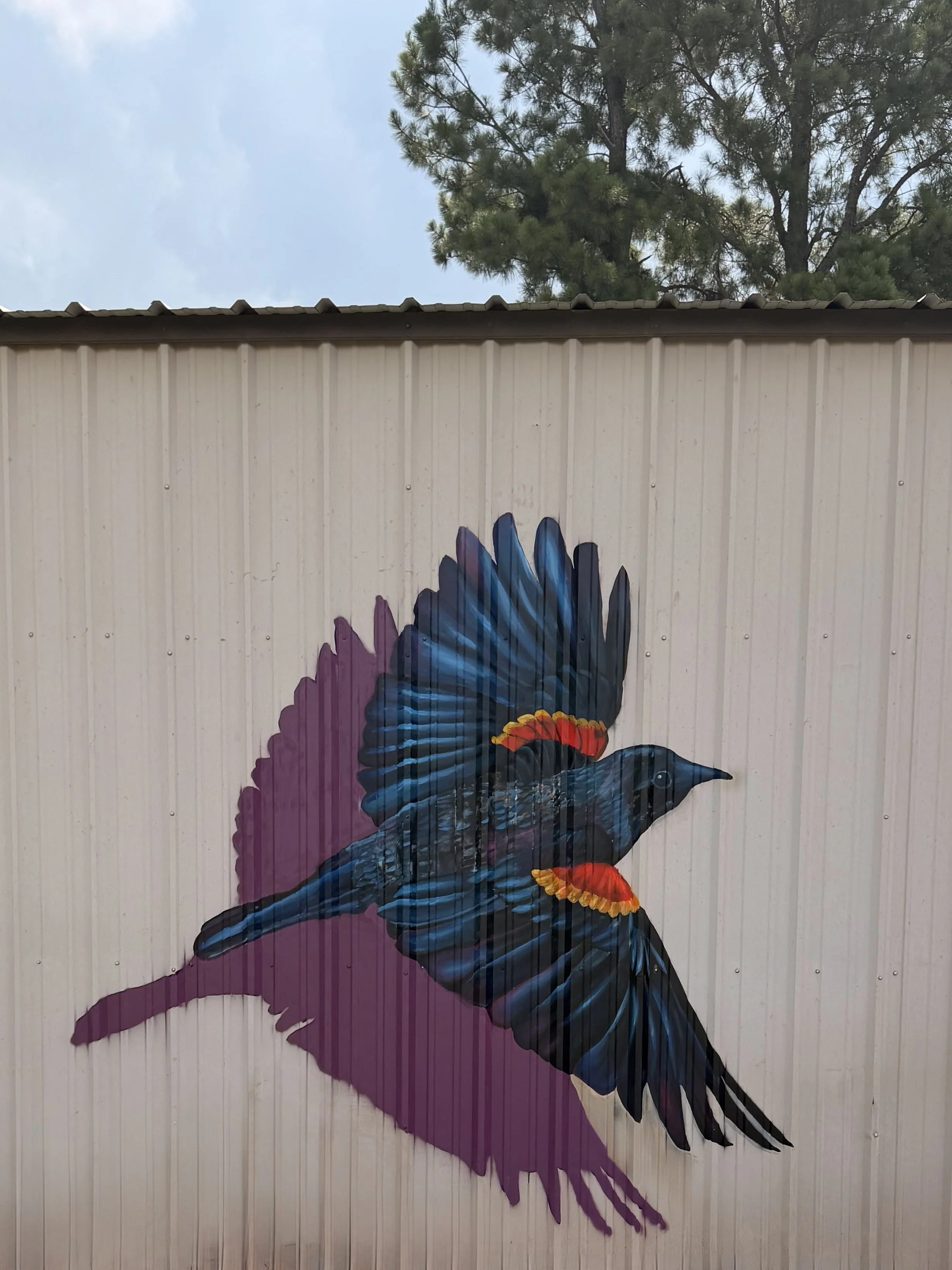 Colorful mural of a bird with blue, black, orange, and purple feathers on a beige wall.
