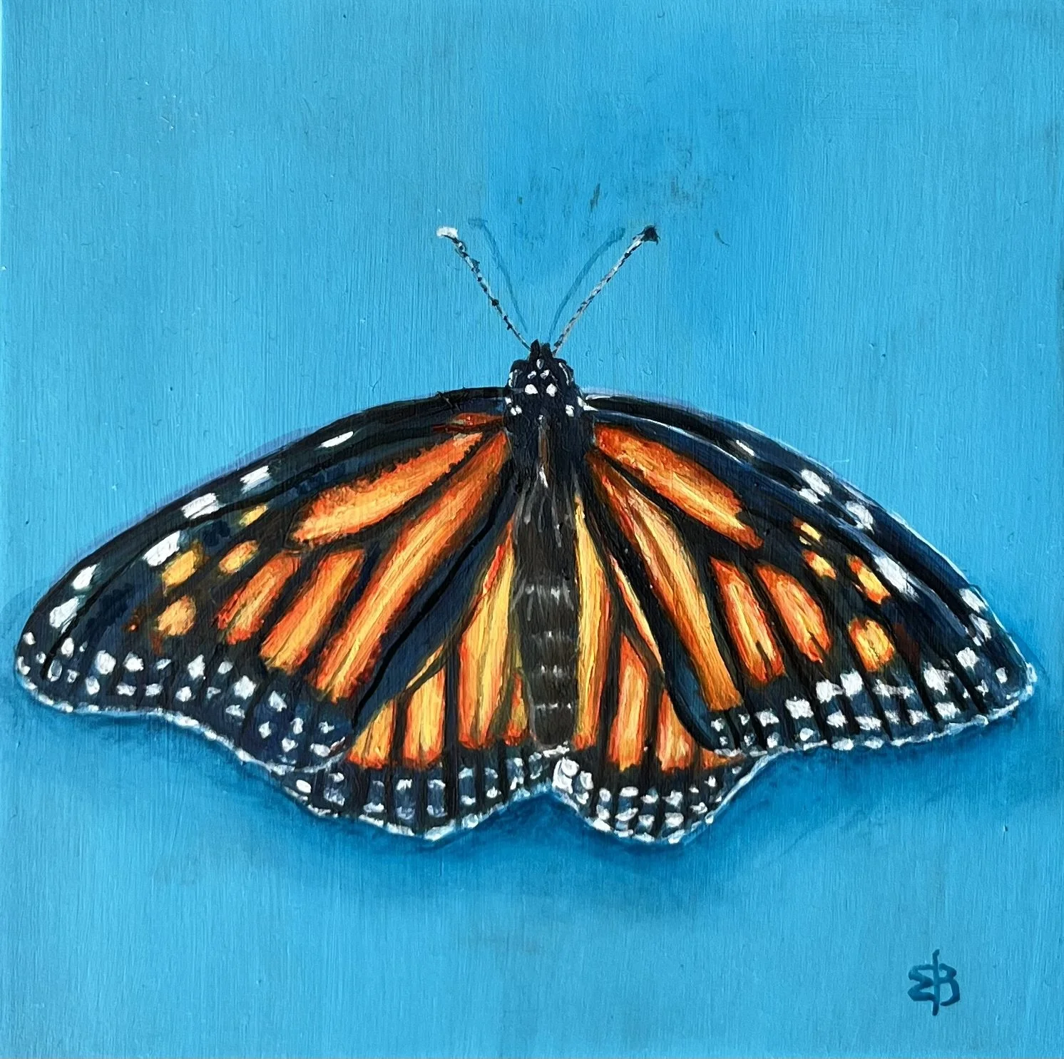 "Monarch" 4"x4" Sold-Prints Available
