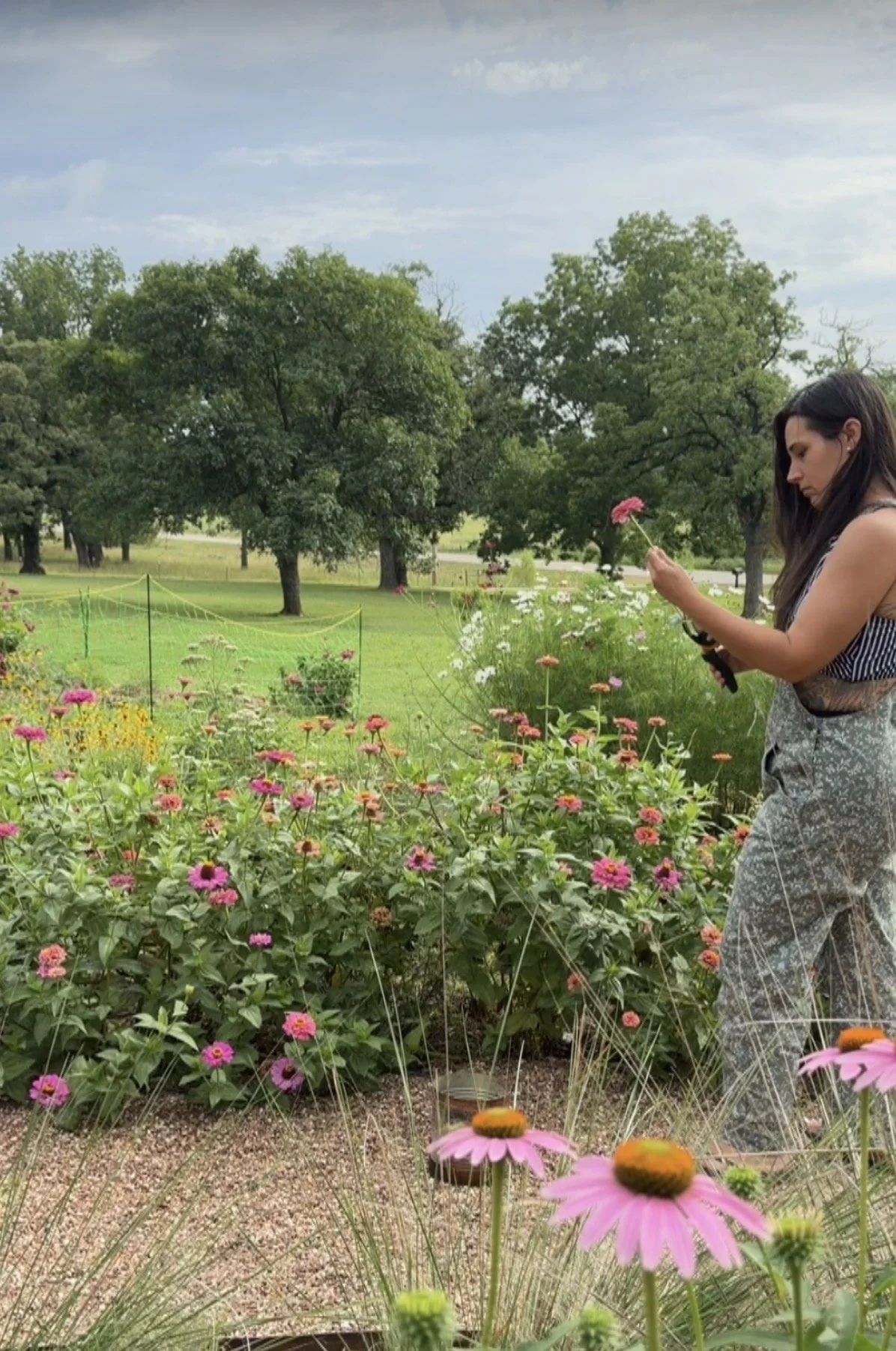 A woman in patterned pants and a sleeveless top stands in a garden, holding a pink flower and examining it. The garden has colorful flowers, and there are trees and a partly cloudy sky in the background.