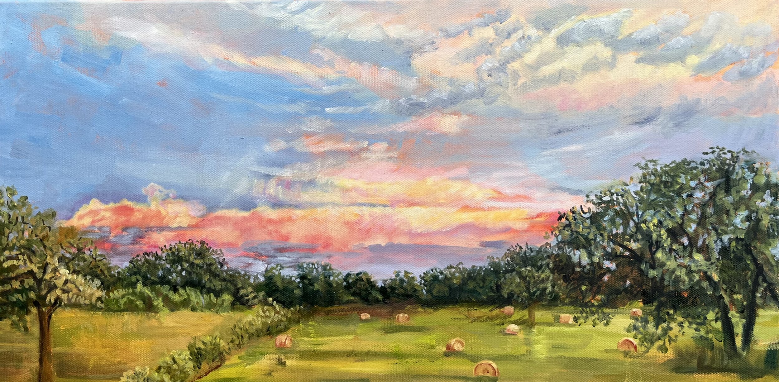 The Vista