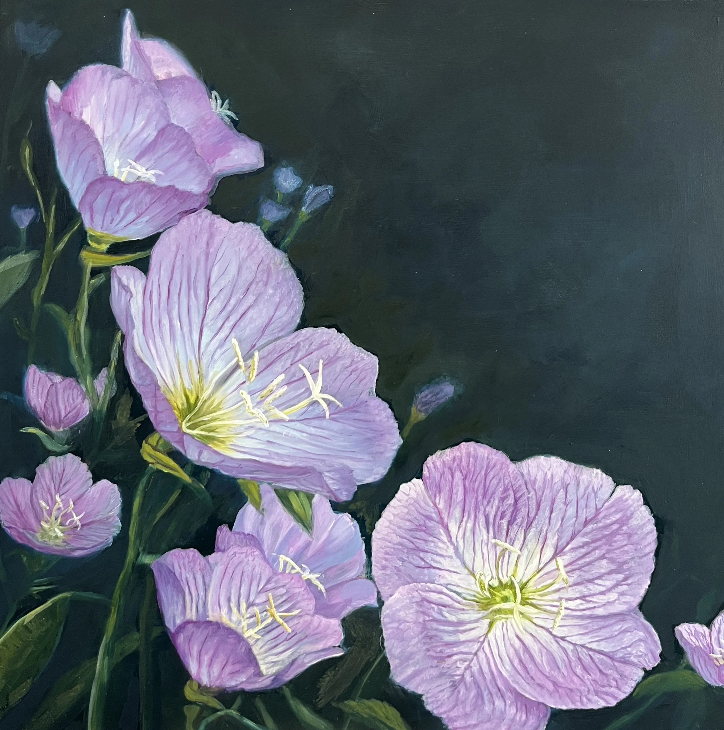 "Evening Primrose" 12"X12" Available $575