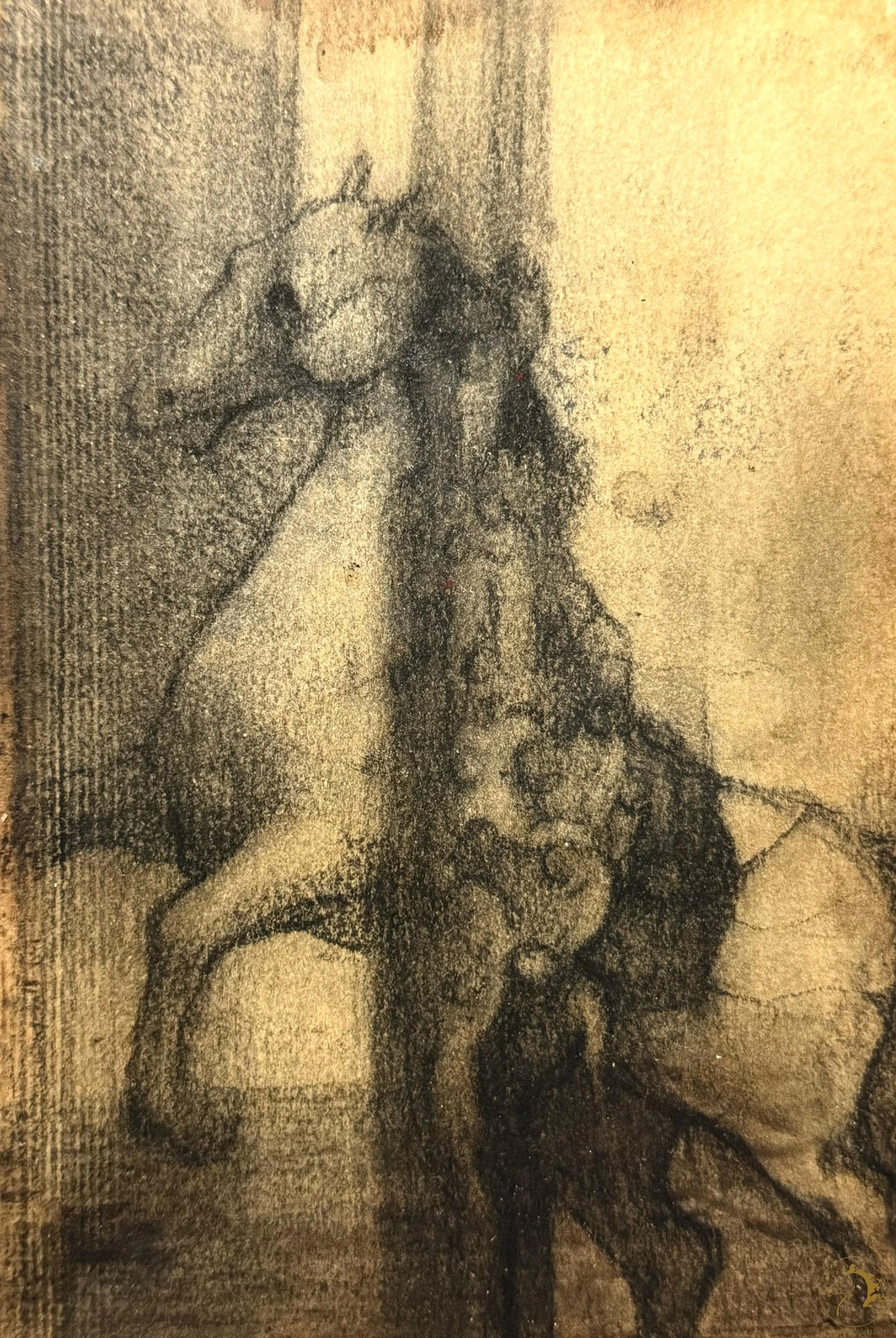 Disegno 8, 2017, Charcoal on Paper