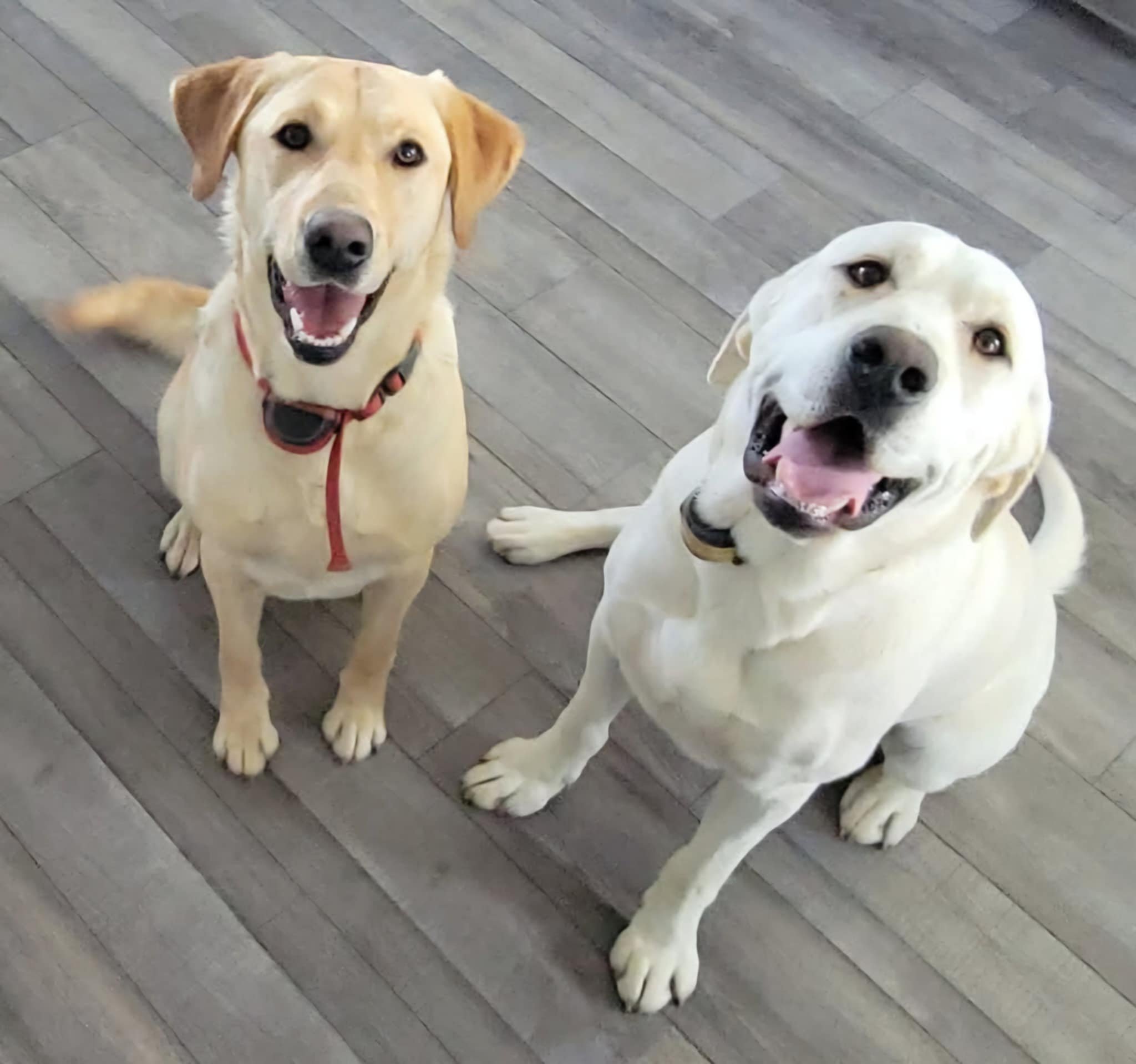 Keira and Eli November 30, 2025