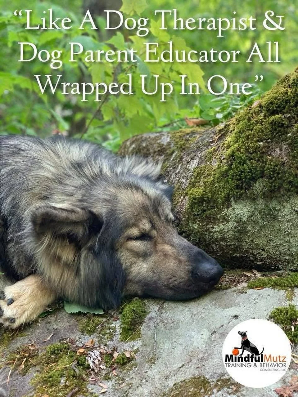 There is so much more to it, then simply &ldquo;Dog Training&rdquo;. A great quote from one of our Asheville clients! ❤️