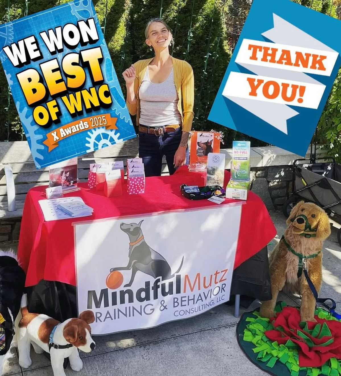 Thank You From The Bottom Of My Heart For Voting Us #1st Place Winner, WNC Best Of 2025!
So grateful to have such an amazing community &amp; clients! I Couldn&rsquo;t do it without you all. Thank you! &hearts;️ Heather