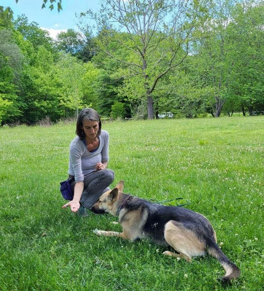 You Guys, we have to give our dogs opportunities for &ldquo;easy wins&rdquo;&hellip; this week has been filled with lots of sensitive pups that have big feelings about the world; other dogs, people, bikes, yard art, you name it&hellip; I&rsquo;ve rec