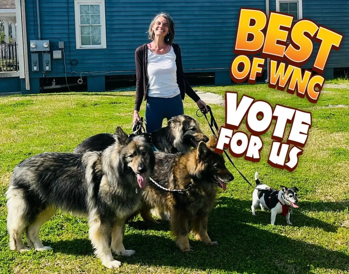 Hi Everyone! &hellip;&hellip;. Only 48 hrs left to vote! 
Help us win this year: (Pet Training)it would mean the world to me! 
Thanks for your help everyone! ❤️ Heather  Link to vote here:
 https://mountainx.com/bestofwnc/