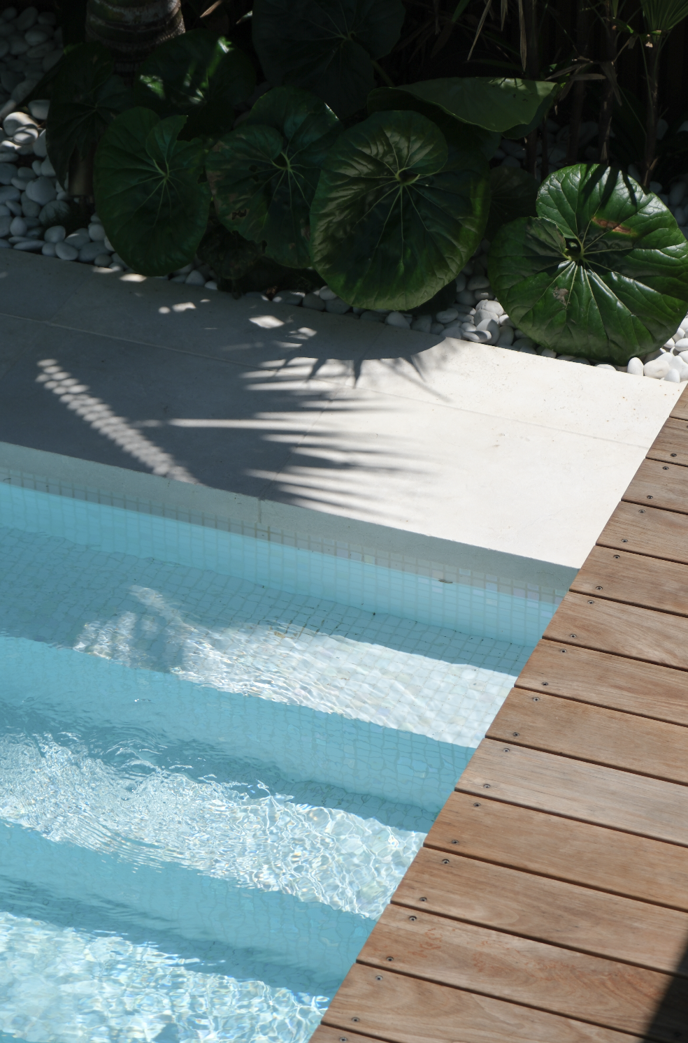 Screenshot 2026-01-21 at 7.30.58 am.png