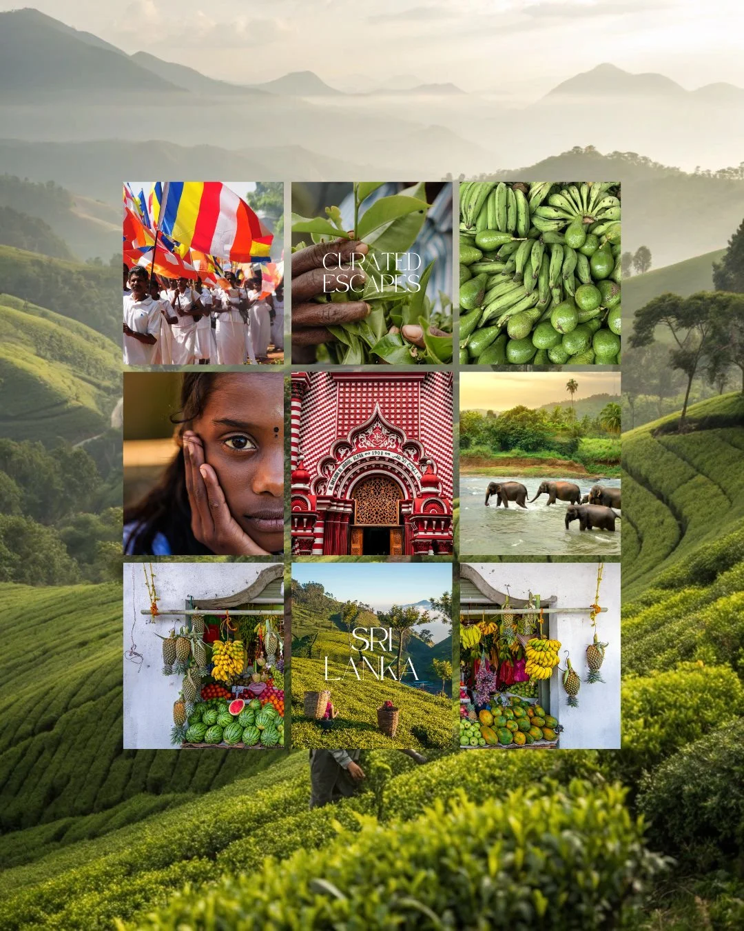 A social foundation, built with intention.

For Tea &amp; Tusk, we created a cohesive digital presence - Instagram and Facebook setup, branded highlights, curated launch content, strategic scheduling, and analytics insights, alongside refinements to 