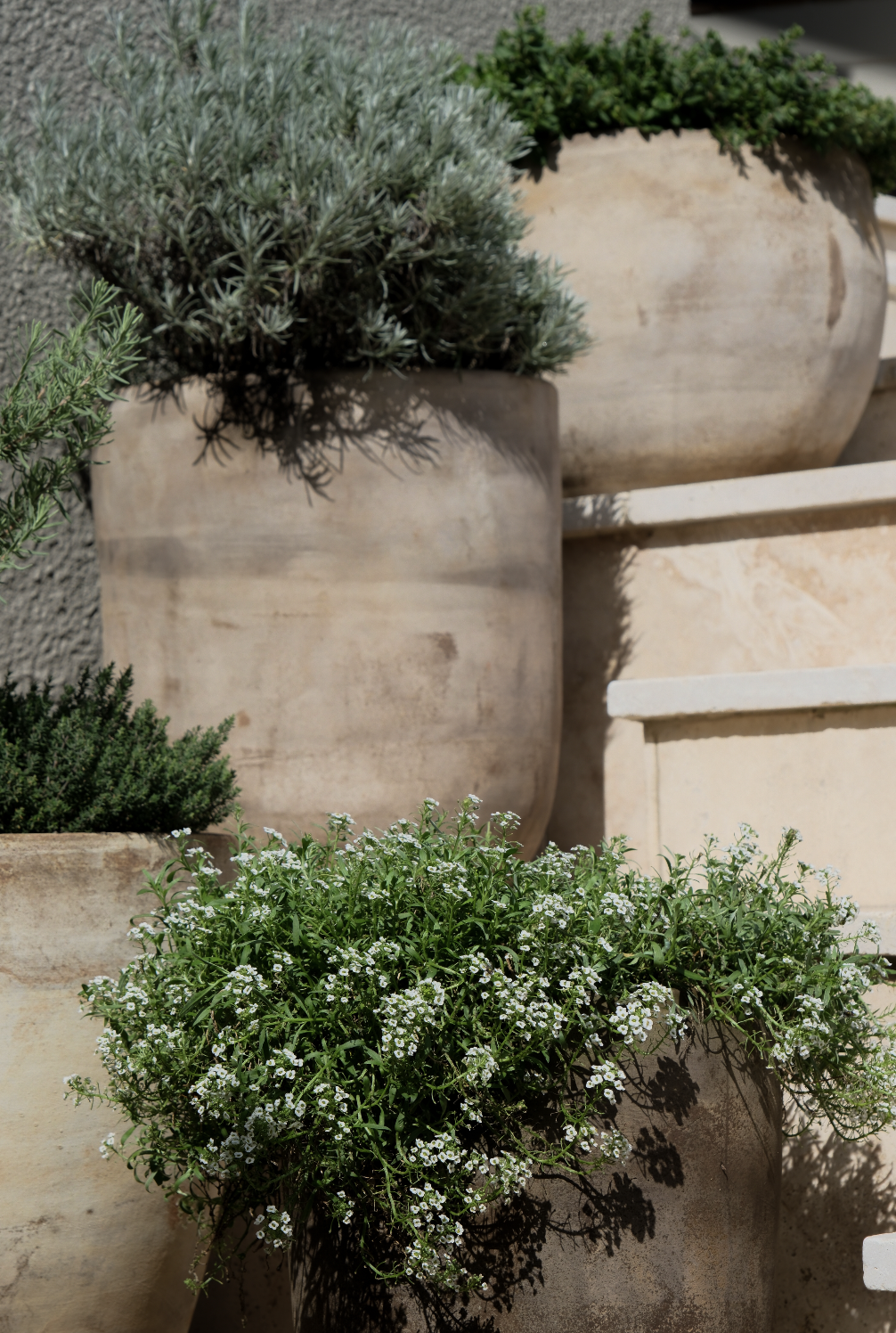 Screenshot 2026-01-20 at 8.34.53 pm.png