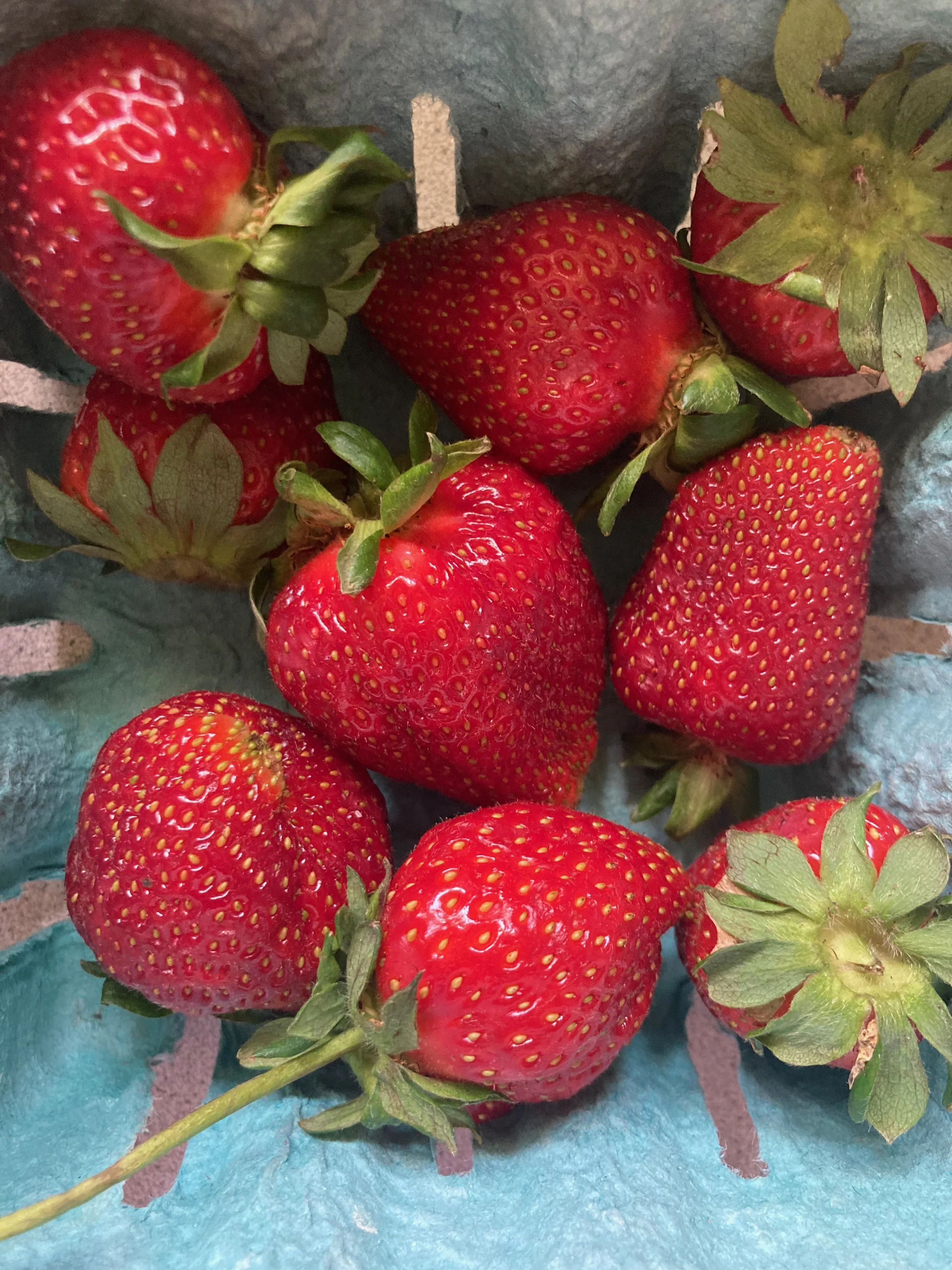 Vitality Inspiration Playspace ꩜