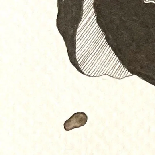 Laulu jota ei voi kuulla