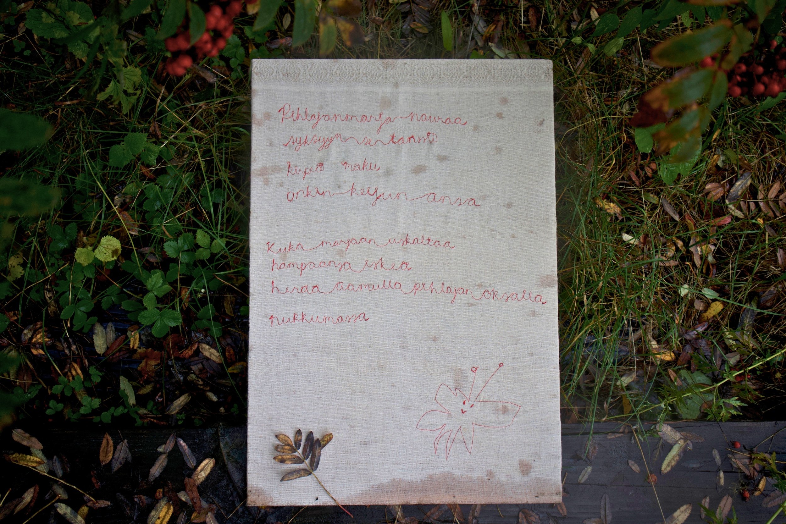malva-erasaari-pihlajanmarja-vierashuone-2026-1.jpg