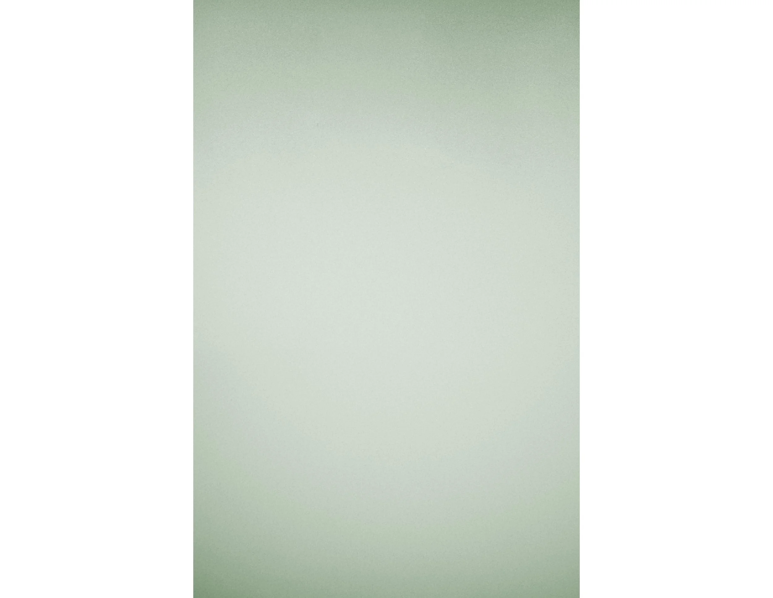 Back-Cover.jpg