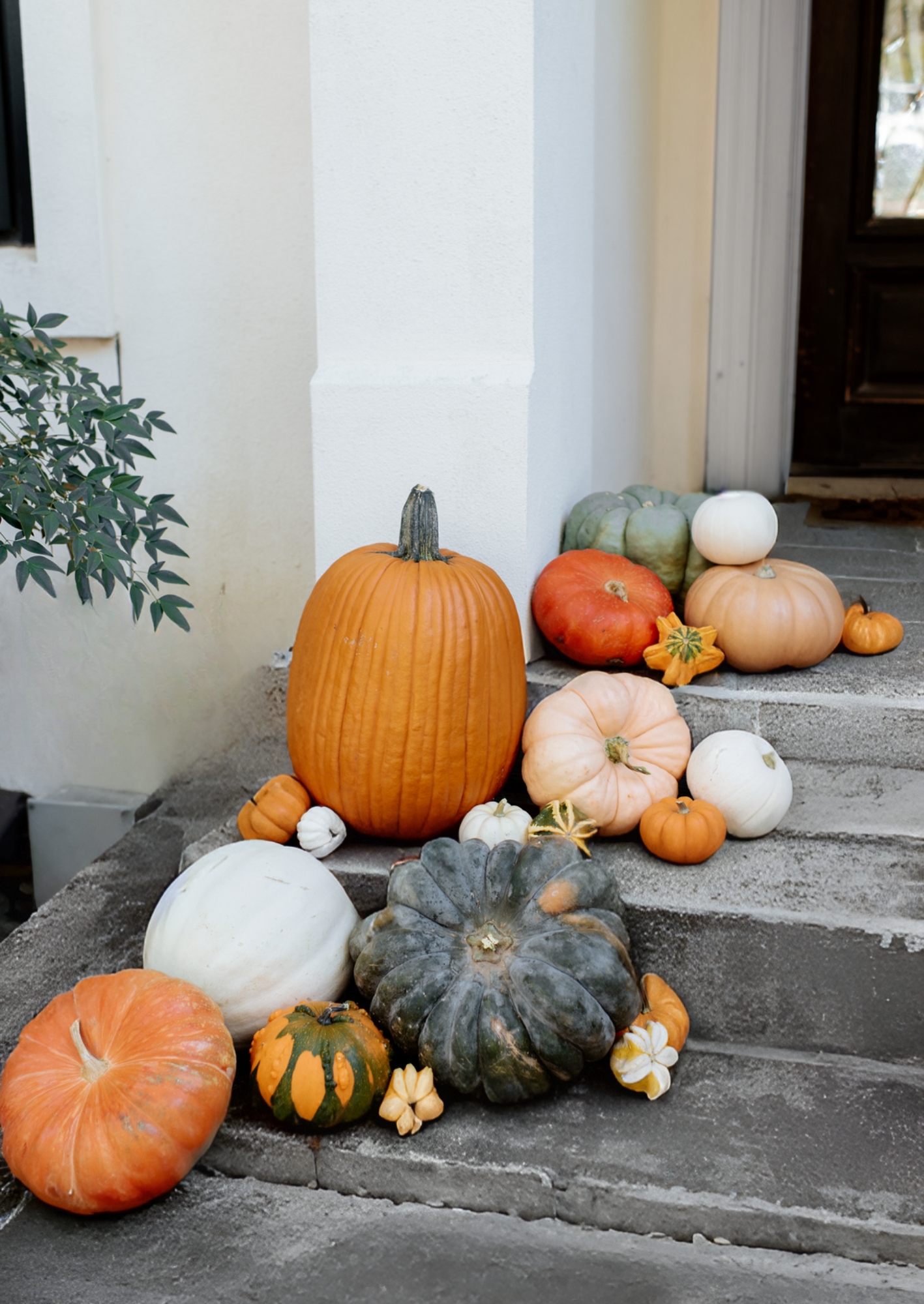 laurens porch (8.5 x 12 in) (3).png
