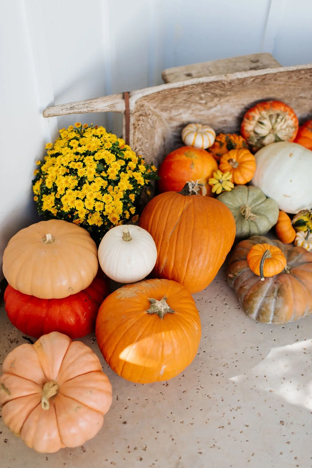 LLD-PORCHPUMPKINS24-2660.jpg